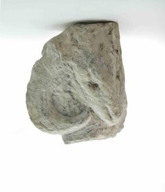 Fossile - Sculpture de Sirio Pellegrini - Années 1960