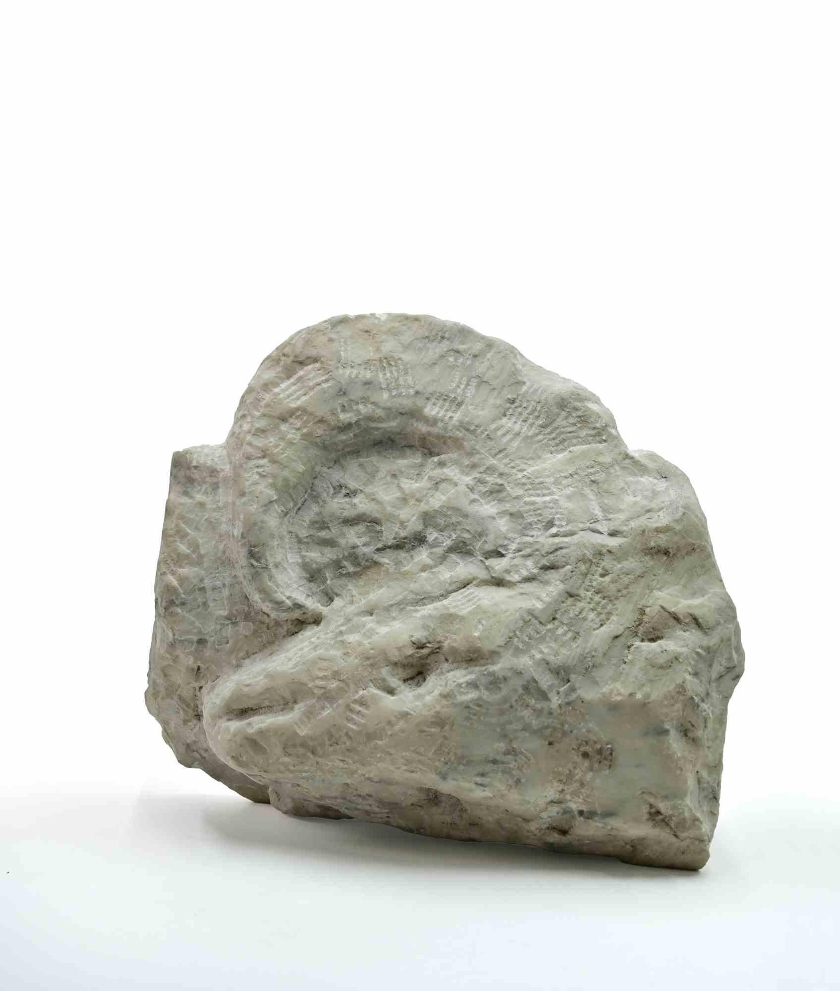 Fossil - Sculpture by Sirio Pellegrini - 1960s For Sale 1