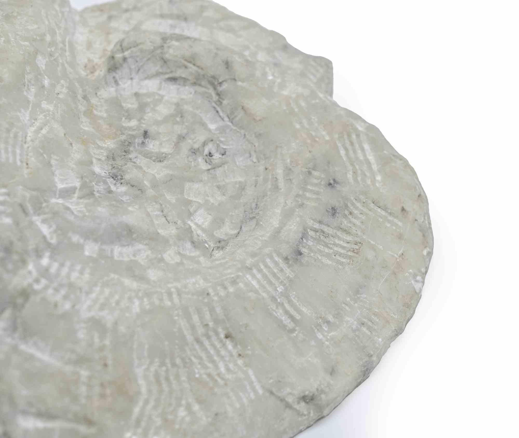 Fossil - Sculpture by Sirio Pellegrini - 1960s For Sale 4