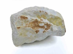 Head of Boy - Sculpture by Sirio Pellegrini - 1960s