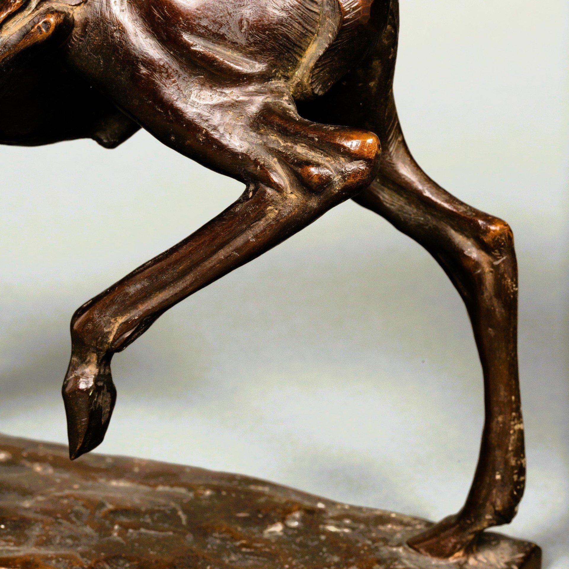 Young Antelope by Sirio Tofanari For Sale 11