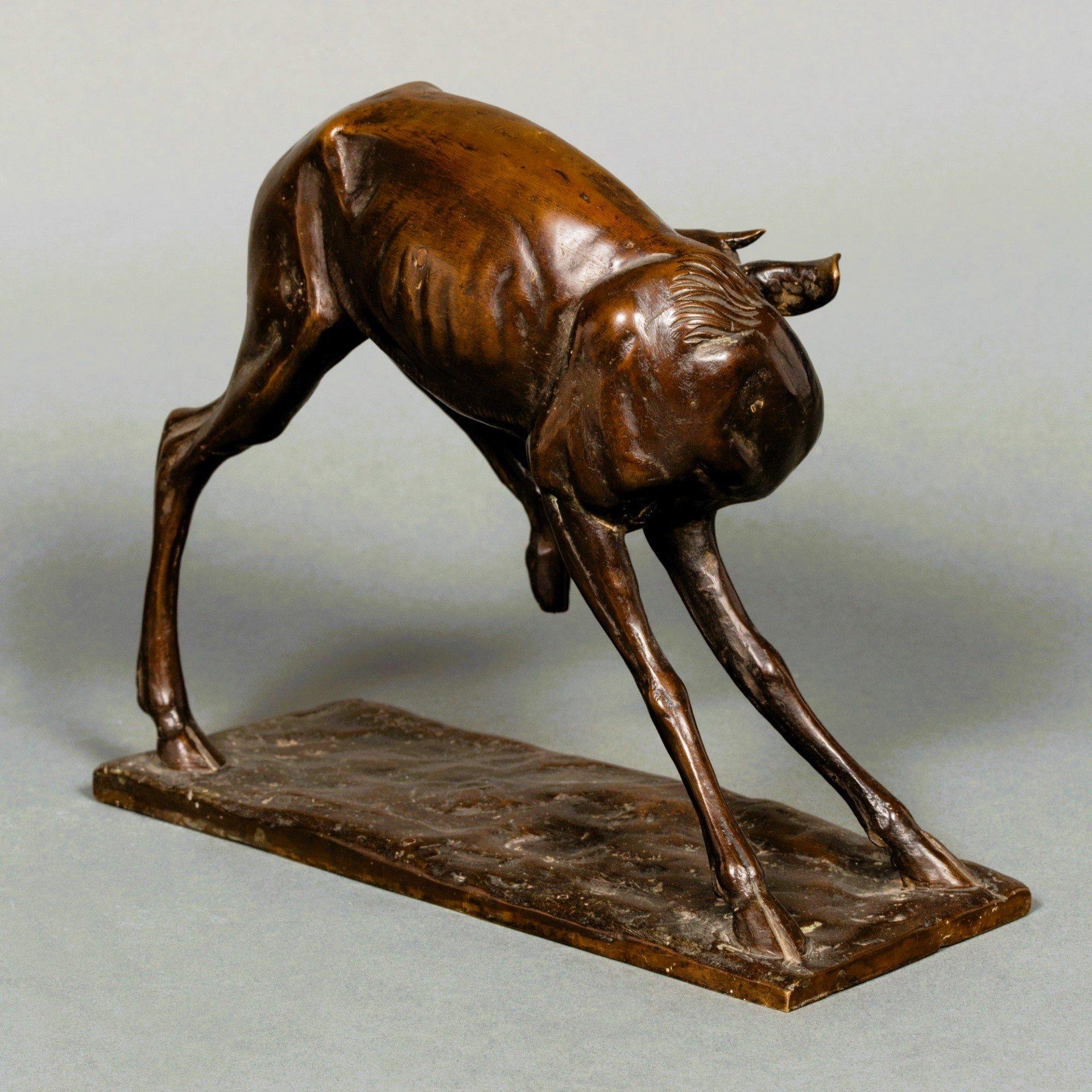 Young Antelope by Sirio Tofanari For Sale 5