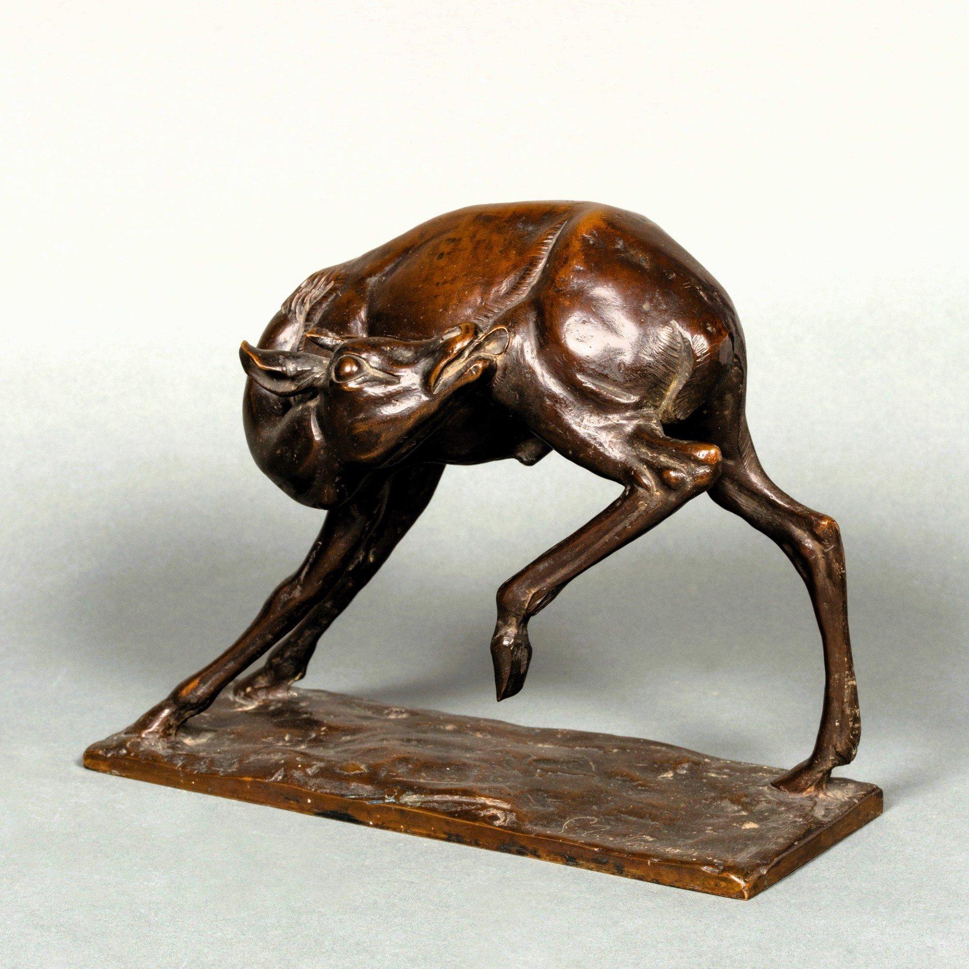 Young Antelope by Sirio Tofanari For Sale 6