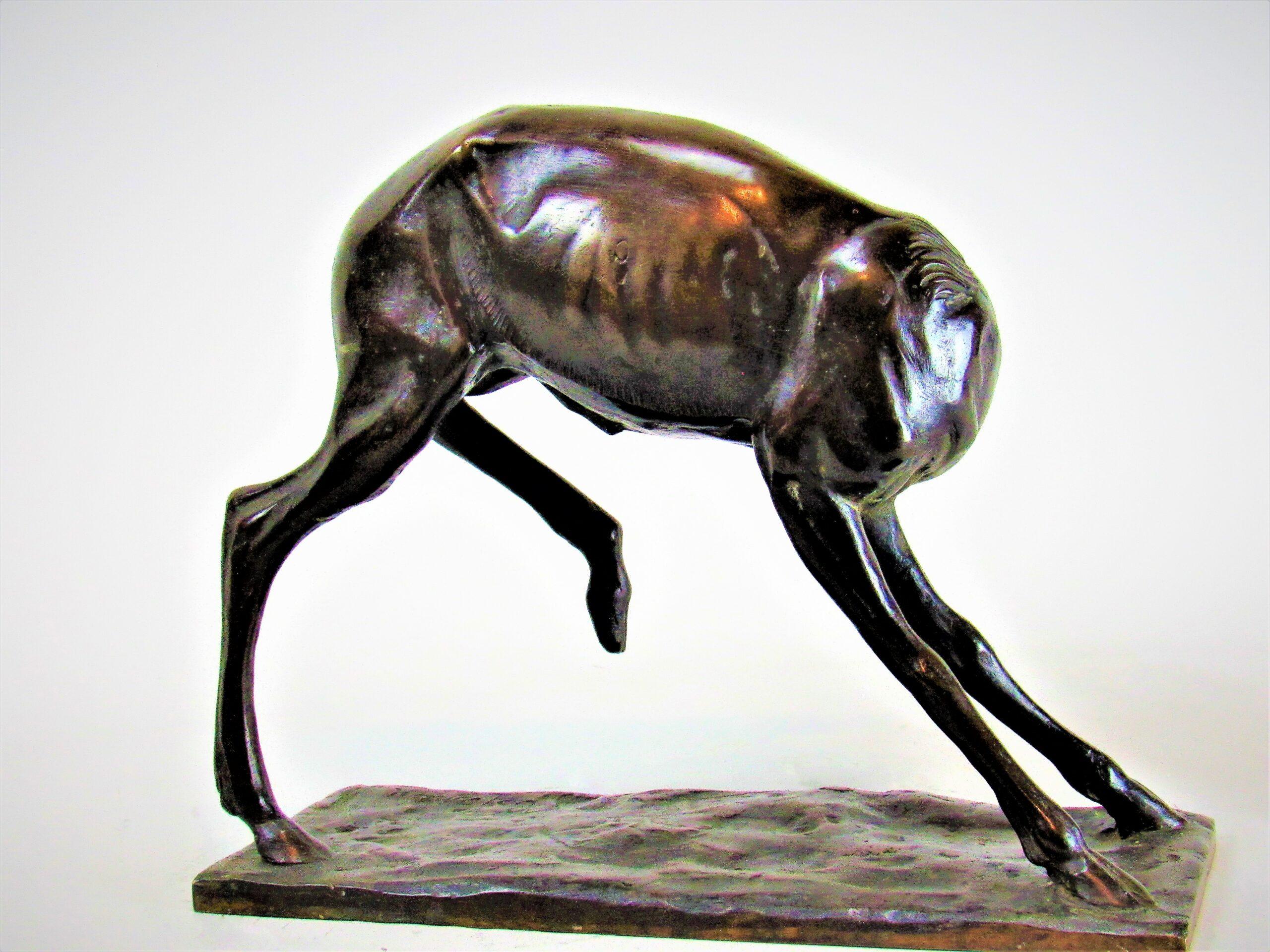 Italian animal bronze: Young Deer or Antelope by Sirio Tofanari 2