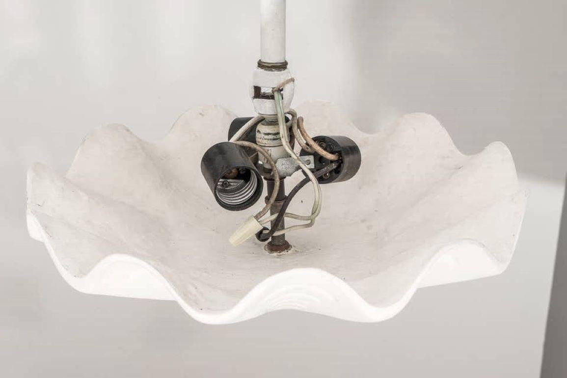 Sirmos Sand Dollar Shell Form Chandelier In Good Condition In West Palm Beach, FL