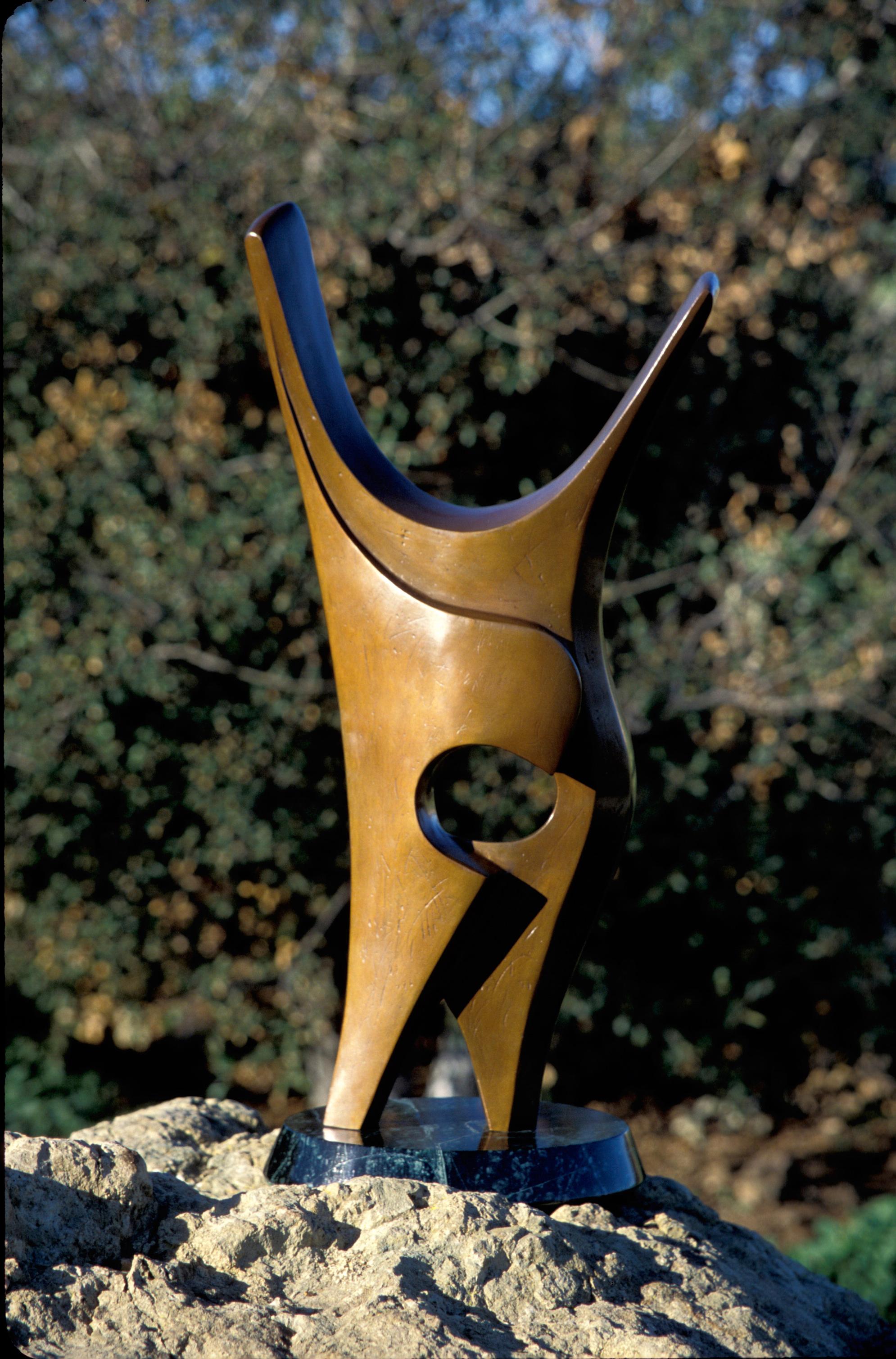 Flamenco (Abstrakt), Sculpture, von Siro'