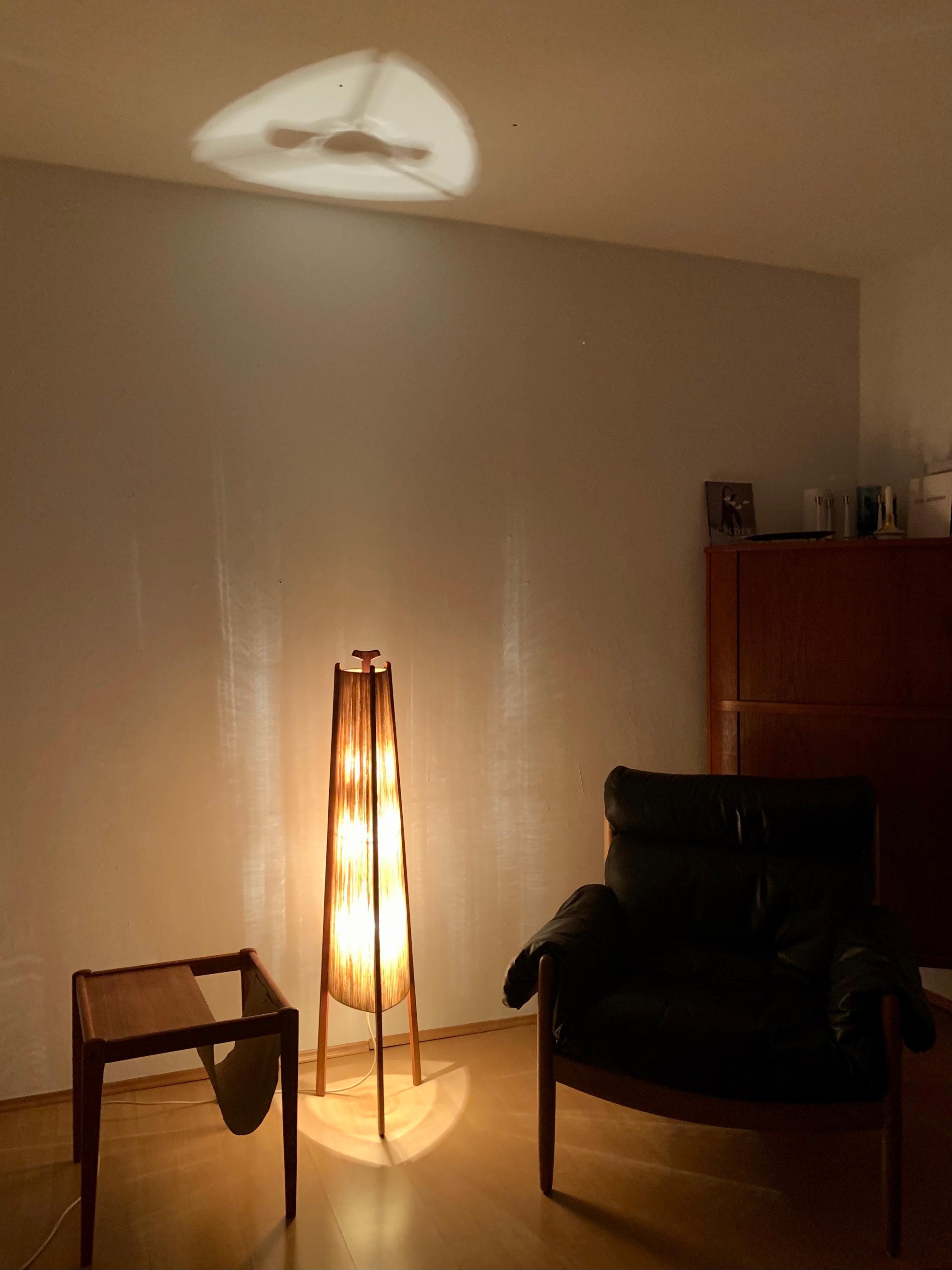 Sisal and Teak Floor Lamp by Temde For Sale 6