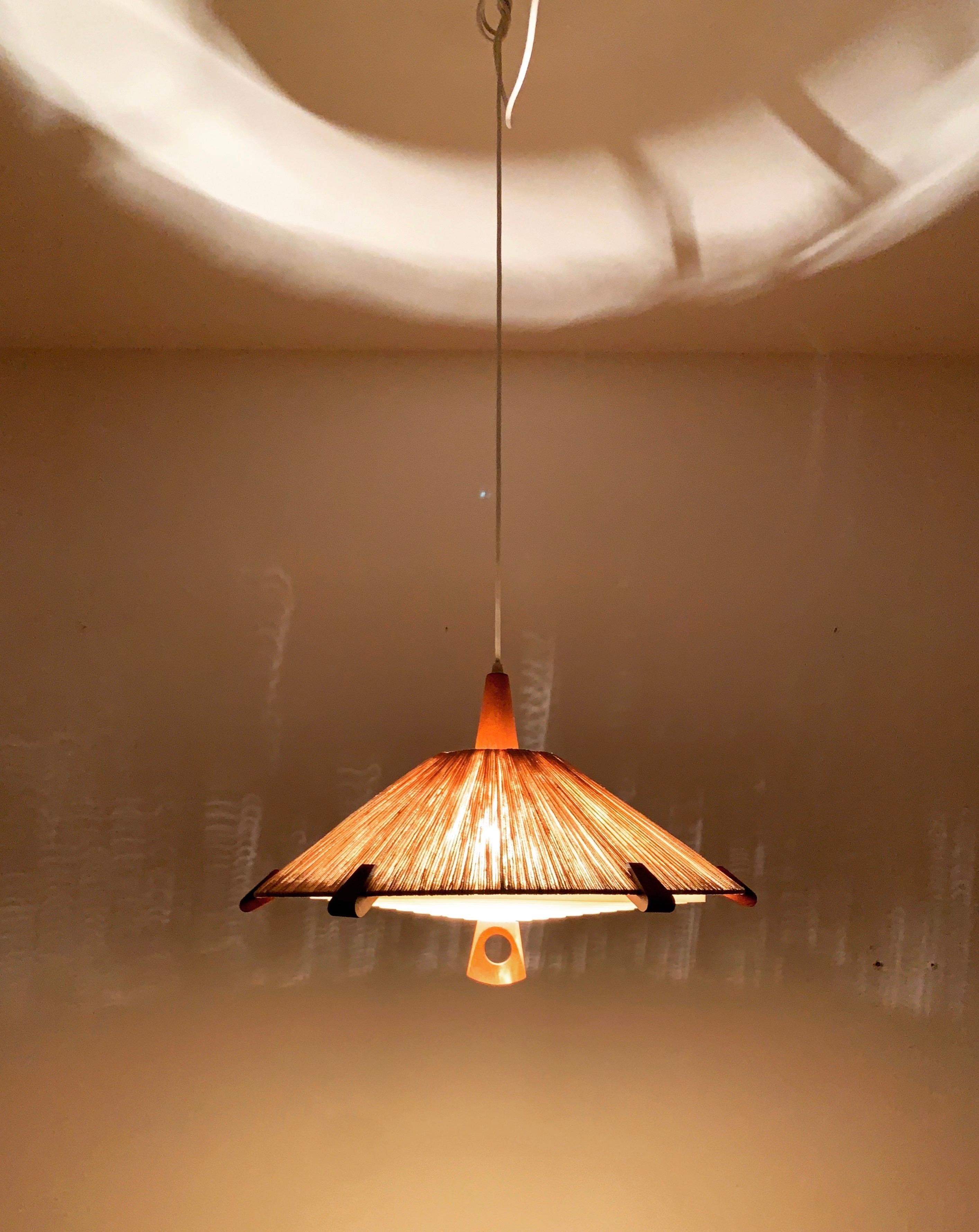 Sisal and Teak Pendant Lamp by Temde For Sale 1