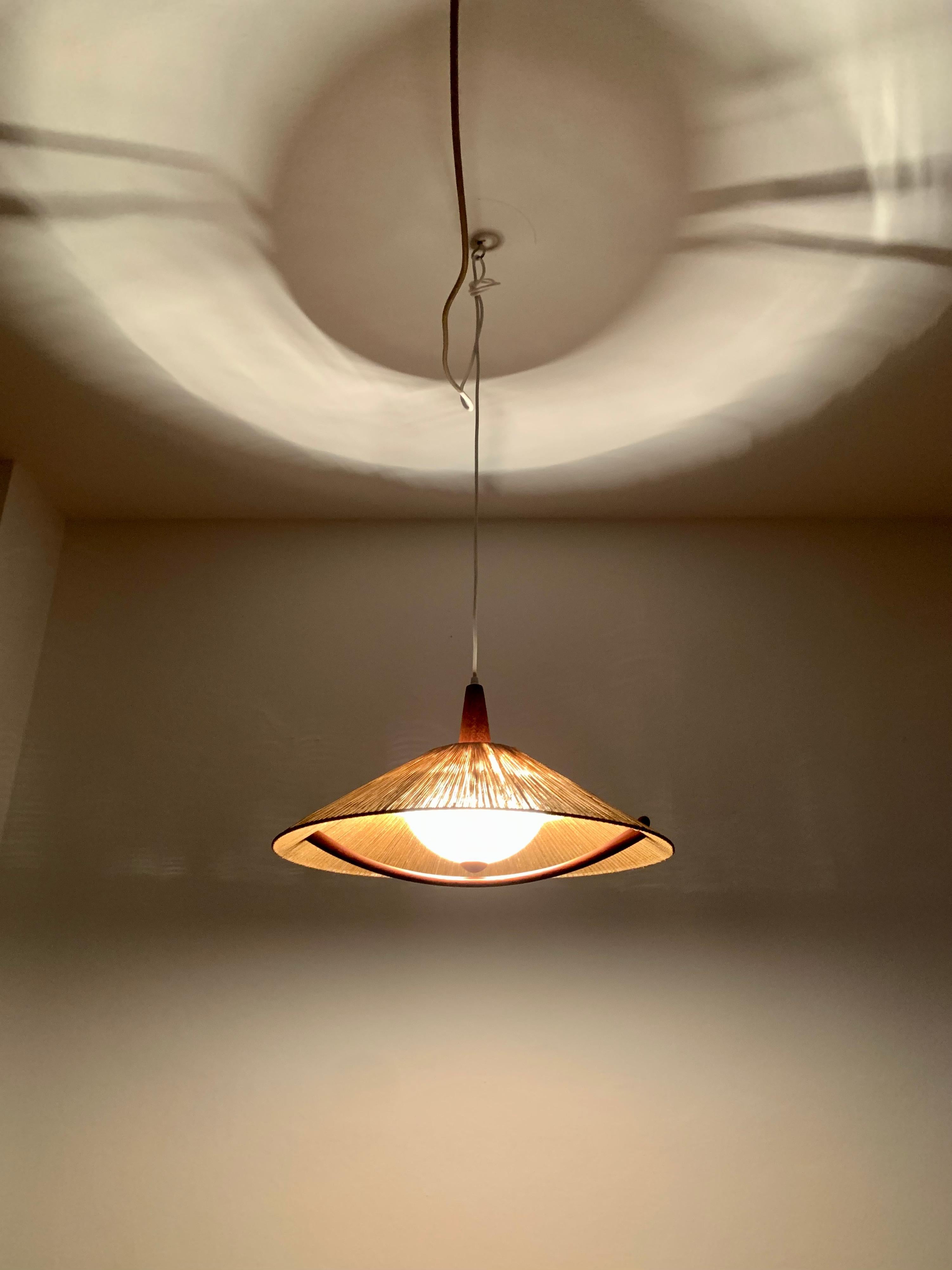 Sisal and Teak Pendant Lamp from Temde For Sale 3