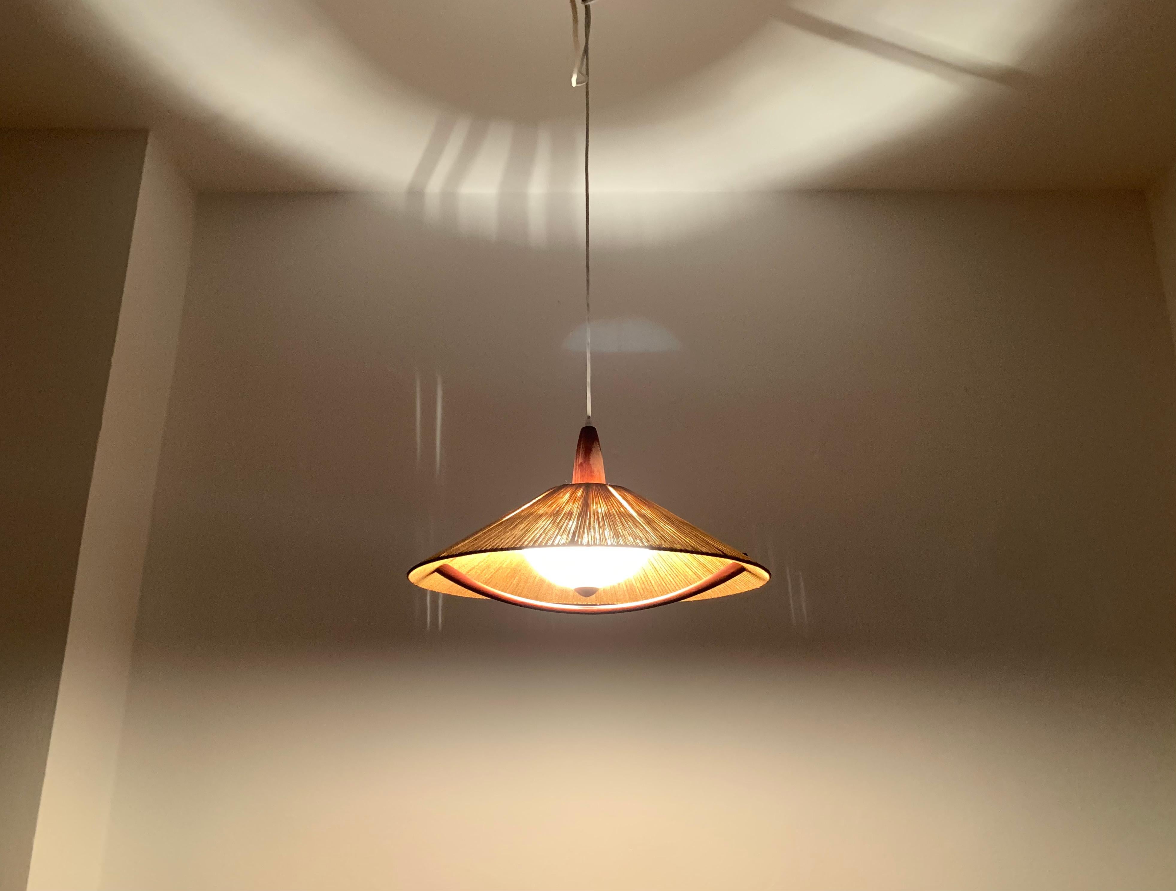 Sisal and Teak Pendant Lamp from Temde For Sale 8