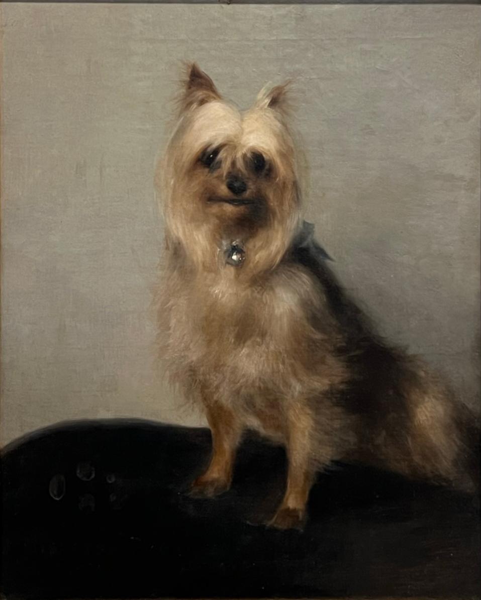 Portrait ancien de chien terrier de Yorkie du 19ème siècle dans un cadre sculpté et doré - Painting de Sister Phoebe