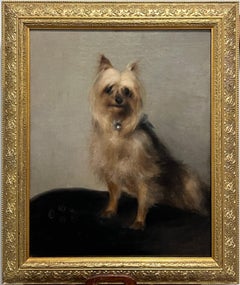 Portrait ancien de chien terrier de Yorkie du 19ème siècle dans un cadre sculpté et doré