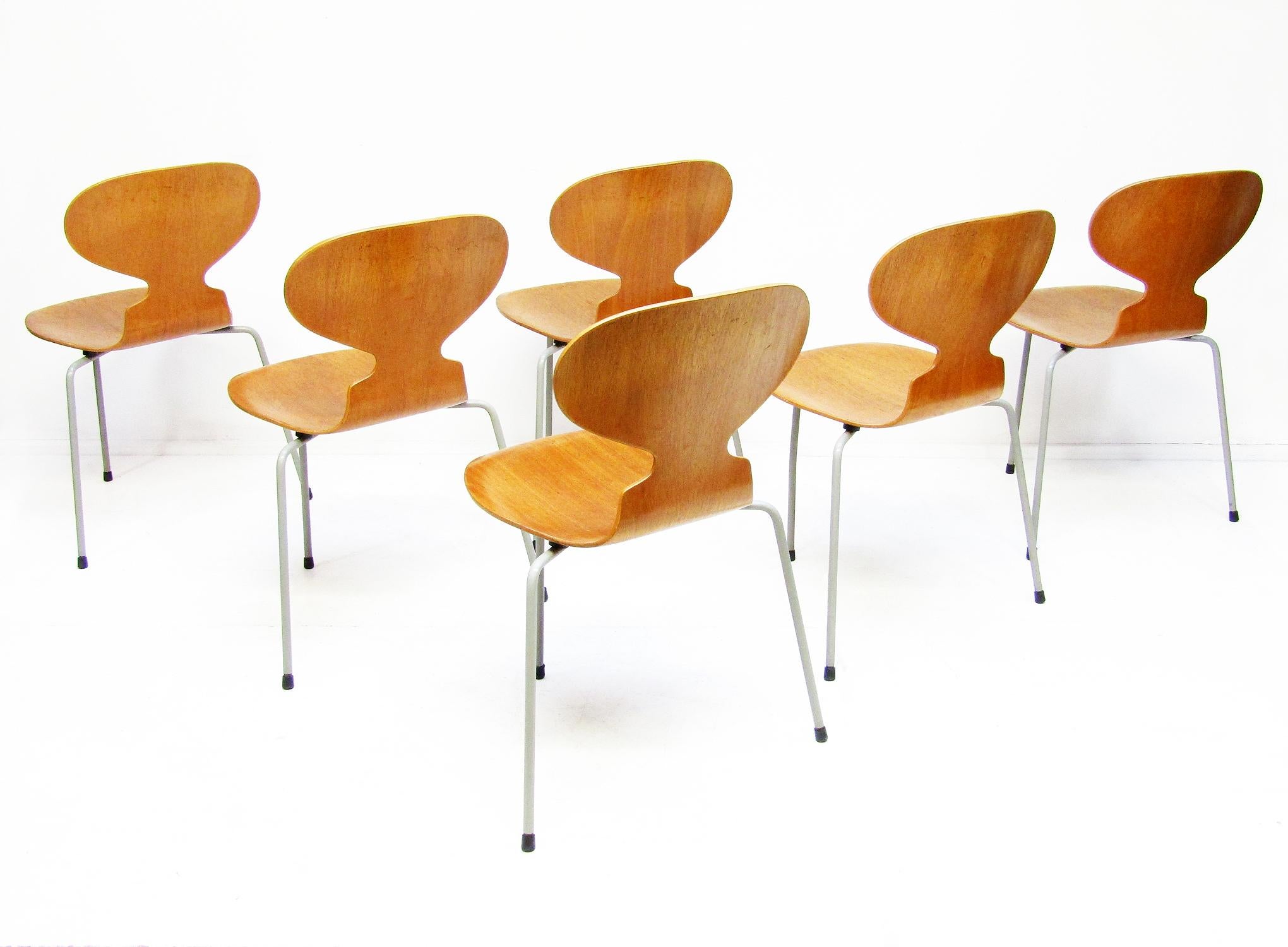 Mid-Century Modern Six chaises fourmis en teck modèle 3100 d'Arne Jacobsen pour Fritz Hansen, années 1950 en vente