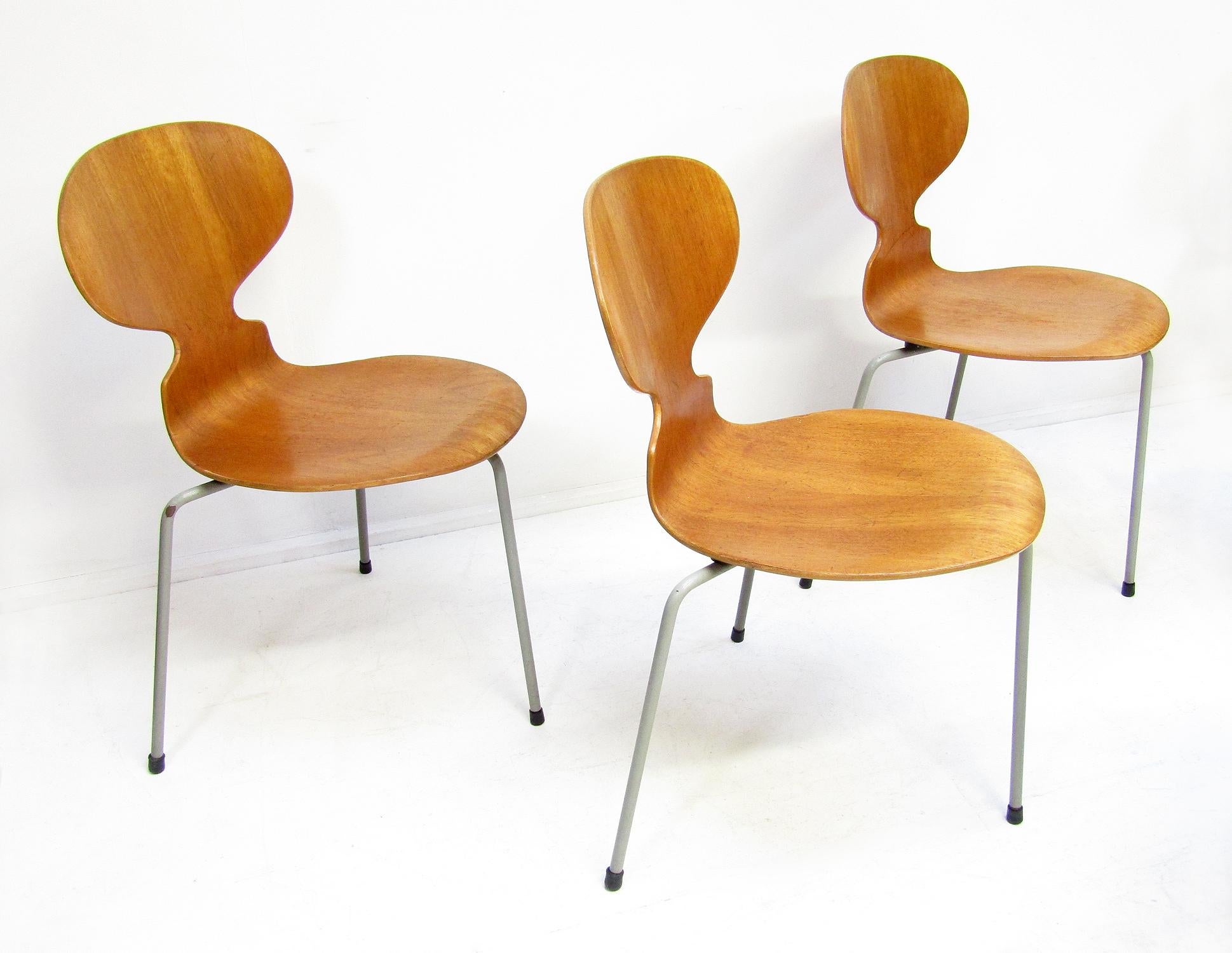20ième siècle Six chaises fourmis en teck modèle 3100 d'Arne Jacobsen pour Fritz Hansen, années 1950 en vente