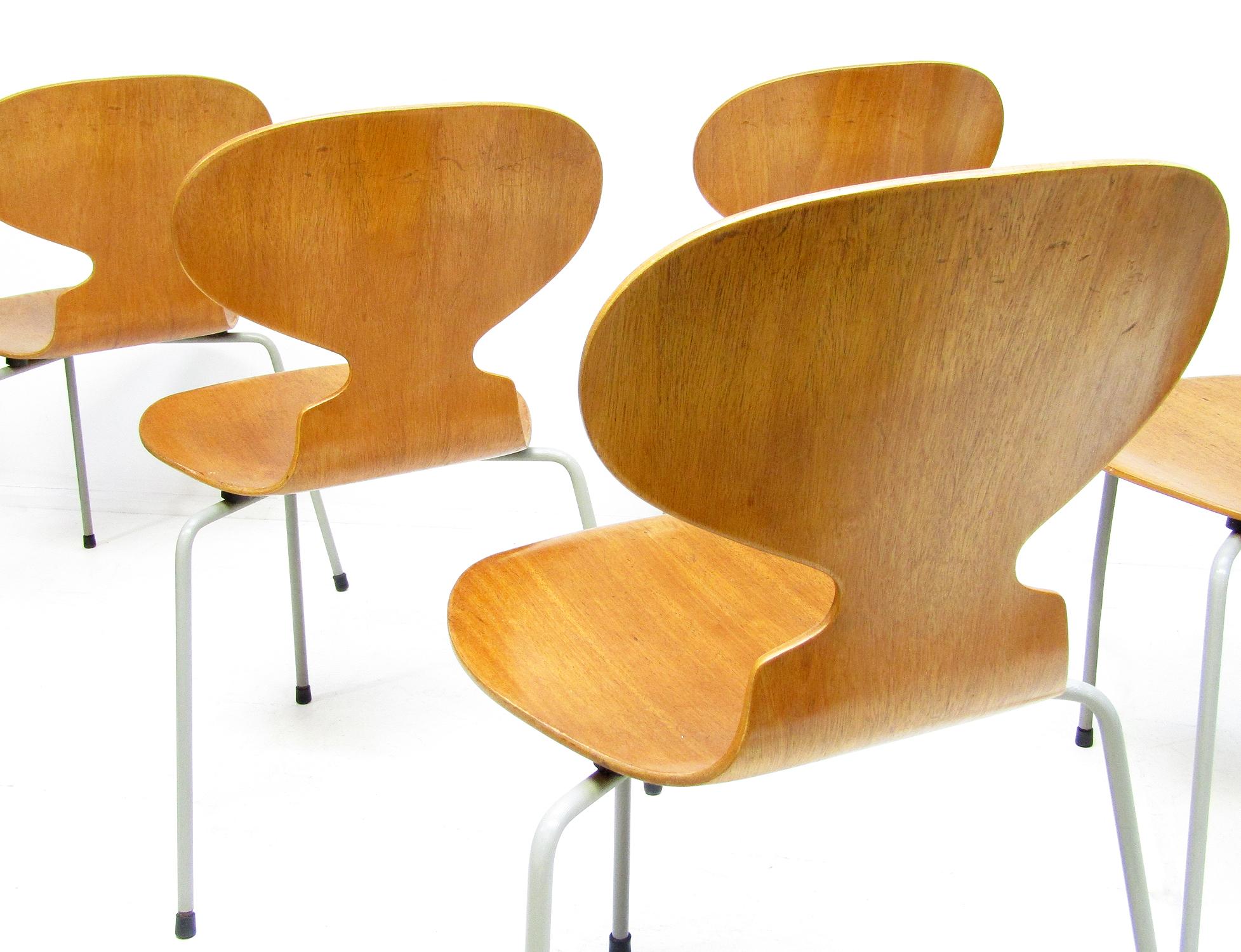 Acier Six chaises fourmis en teck modèle 3100 d'Arne Jacobsen pour Fritz Hansen, années 1950 en vente
