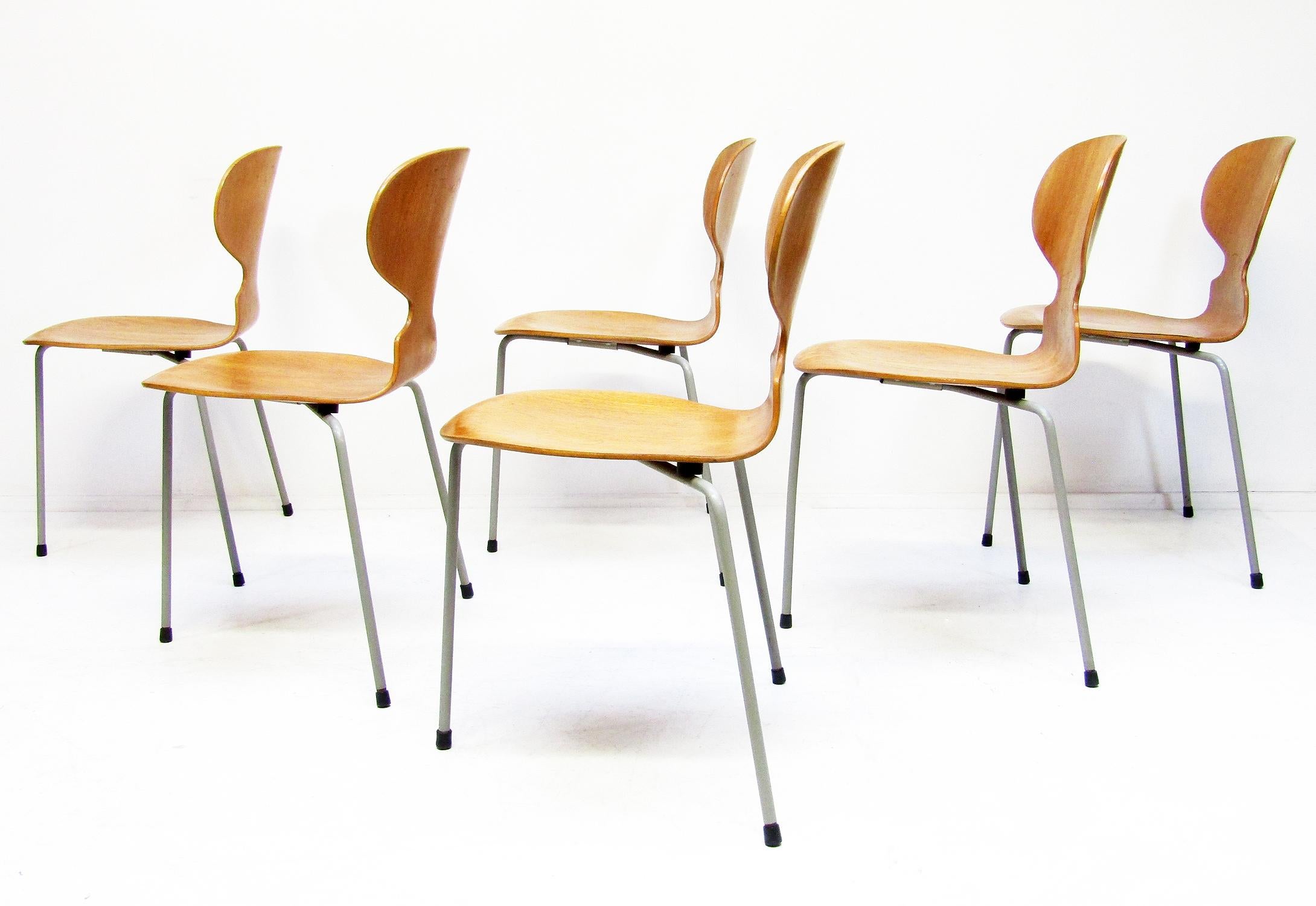 Six chaises fourmis en teck modèle 3100 d'Arne Jacobsen pour Fritz Hansen, années 1950 en vente 2