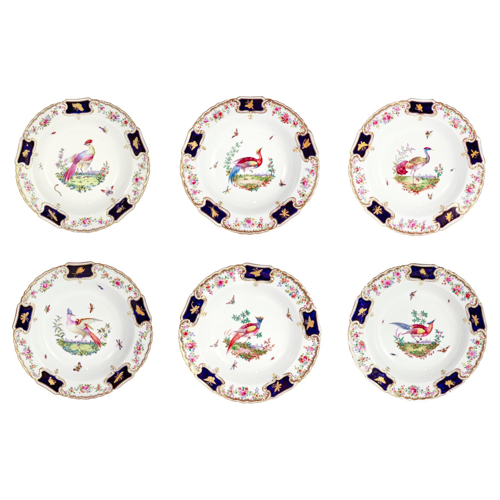 Six exemplaires du 19e siècle. Bols en porcelaine Copeland avec oiseaux de paradis peints à la main en vente