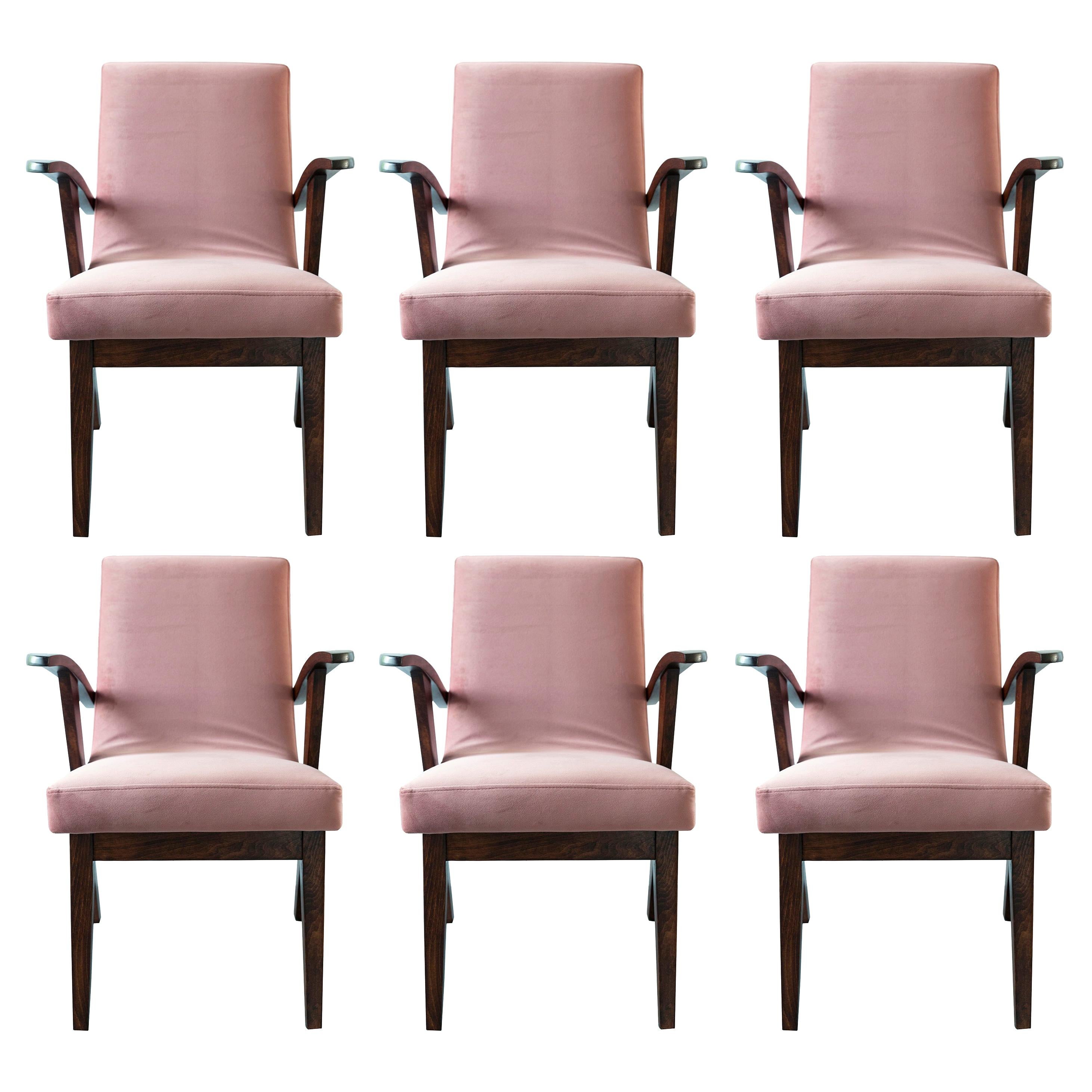 Six 20th Century Armchairs in Dusty Pink Velvet by Mieczyslaw Puchala, 1960s