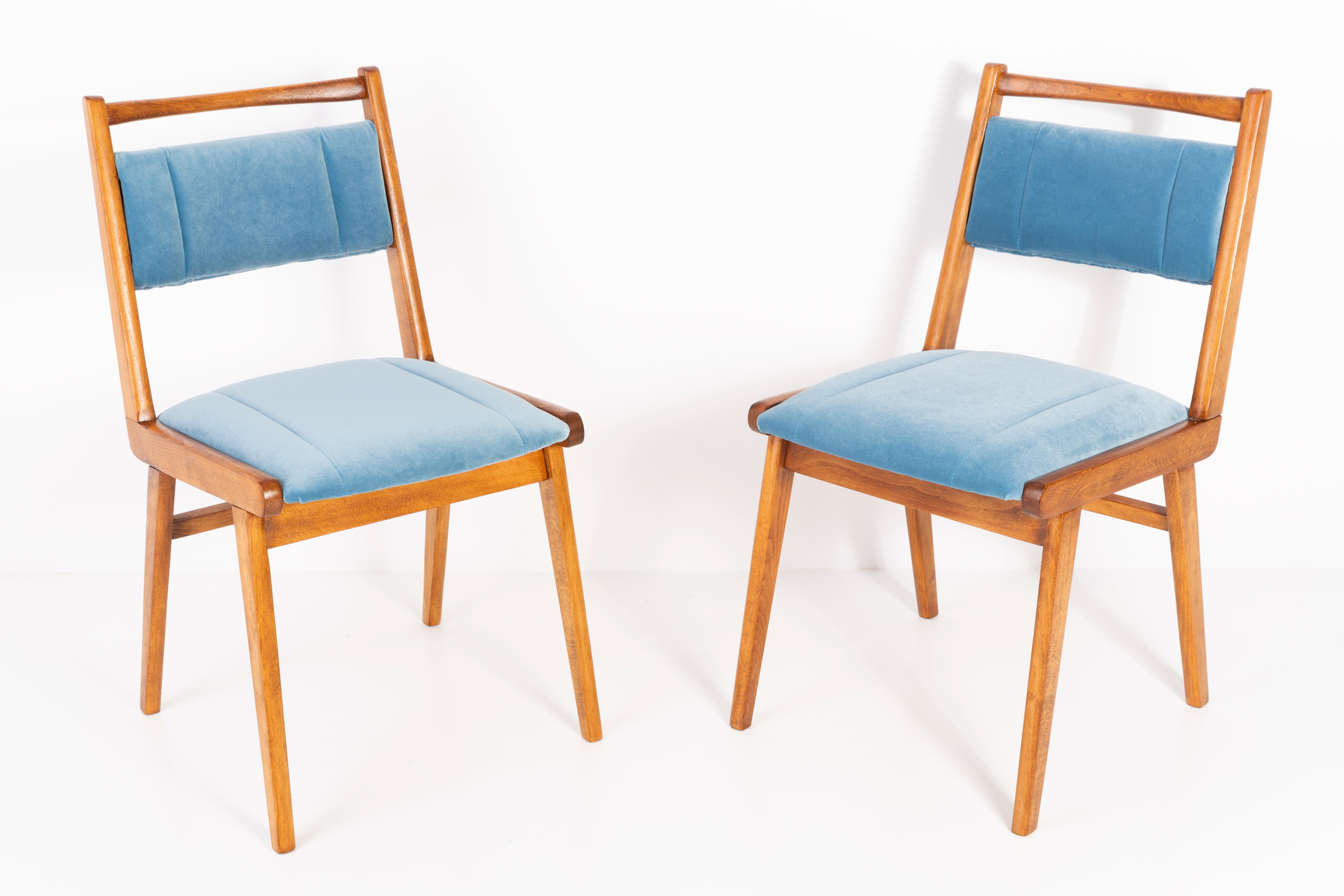 Chaises conçues par le professeur Rajmund Halas. C'est un modèle de type jar. Fabriqué en bois de hêtre. Les chaises ont été entièrement rénovées et les boiseries ont été rafraîchies. L'assise et le dossier sont habillés d'un tissu velours bleu