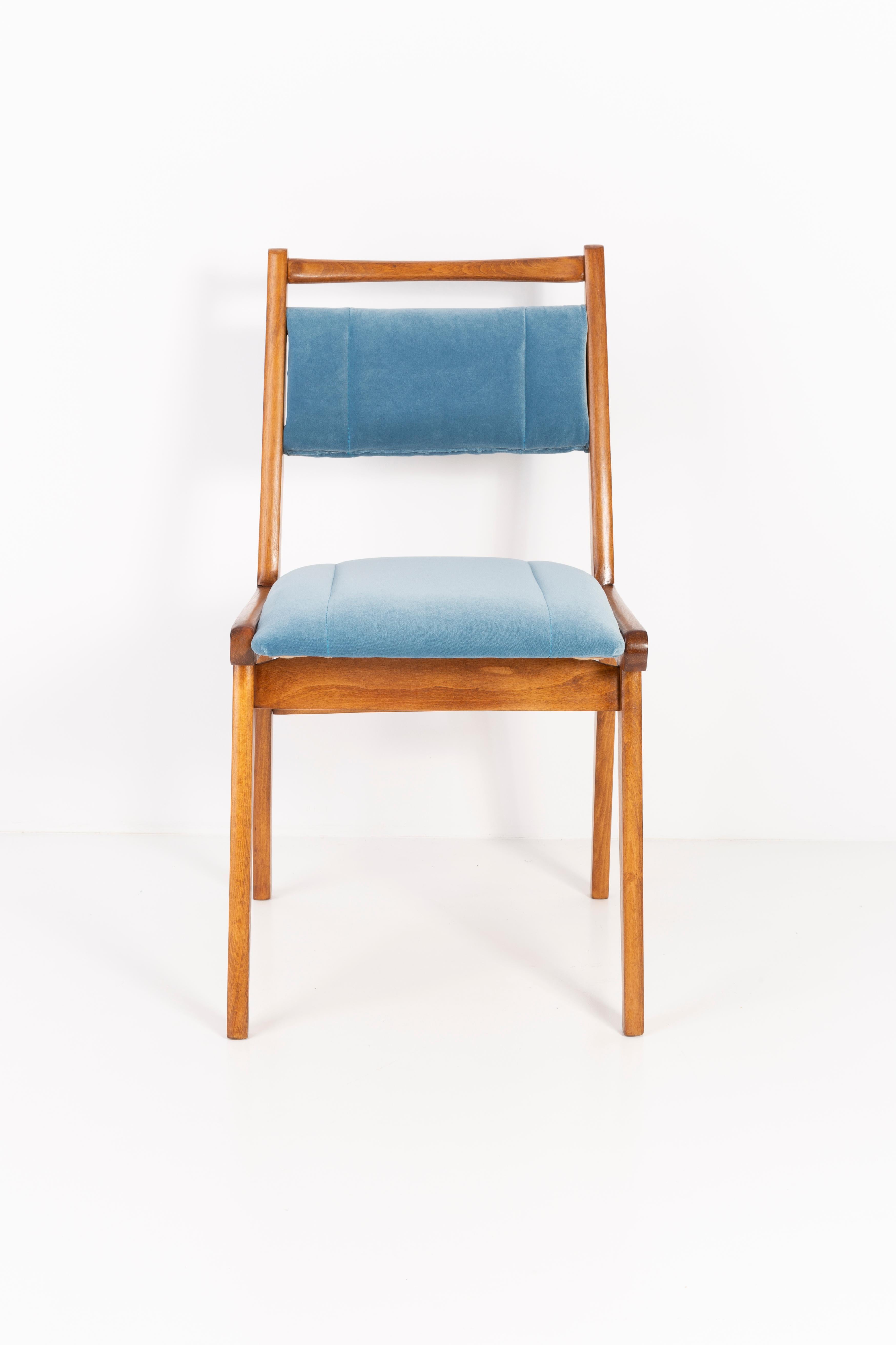 20ième siècle Six chaises en velours bleu du XXe siècle, Pologne, années 1960 en vente