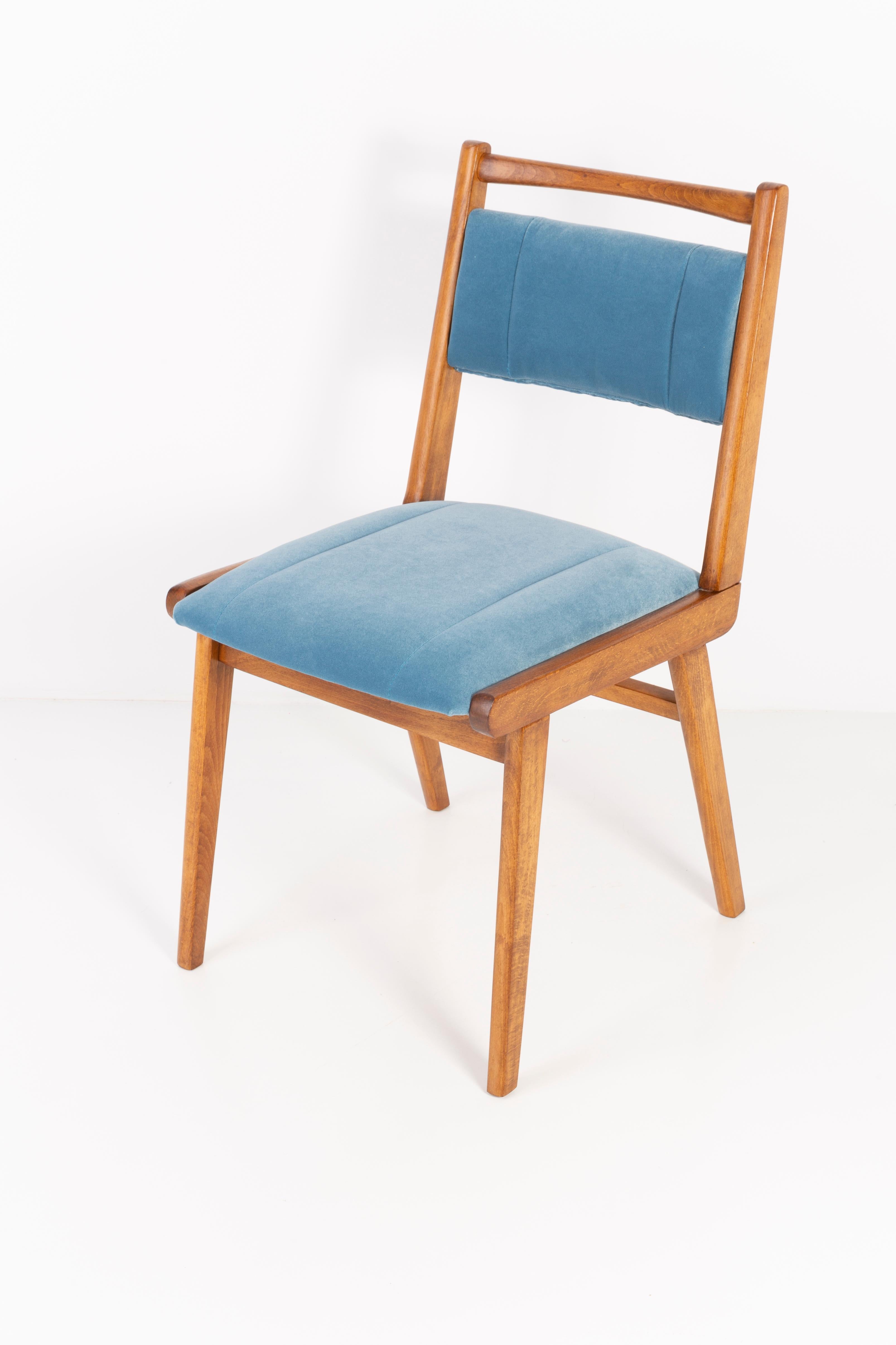 Velours Six chaises en velours bleu du XXe siècle, Pologne, années 1960 en vente