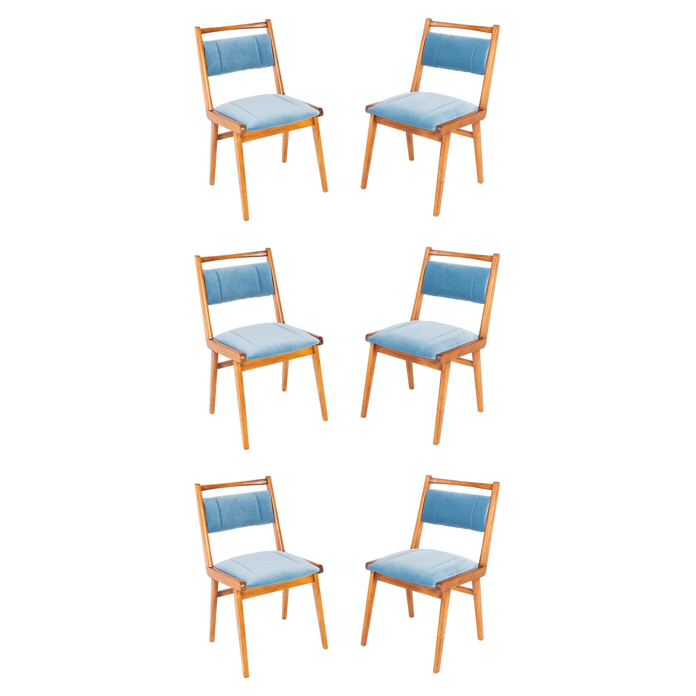 Six 20th Century Blue Velvet Chairs, Poland, 1960s For Sale