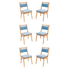 Six chaises en velours bleu du XXe siècle, Pologne, années 1960