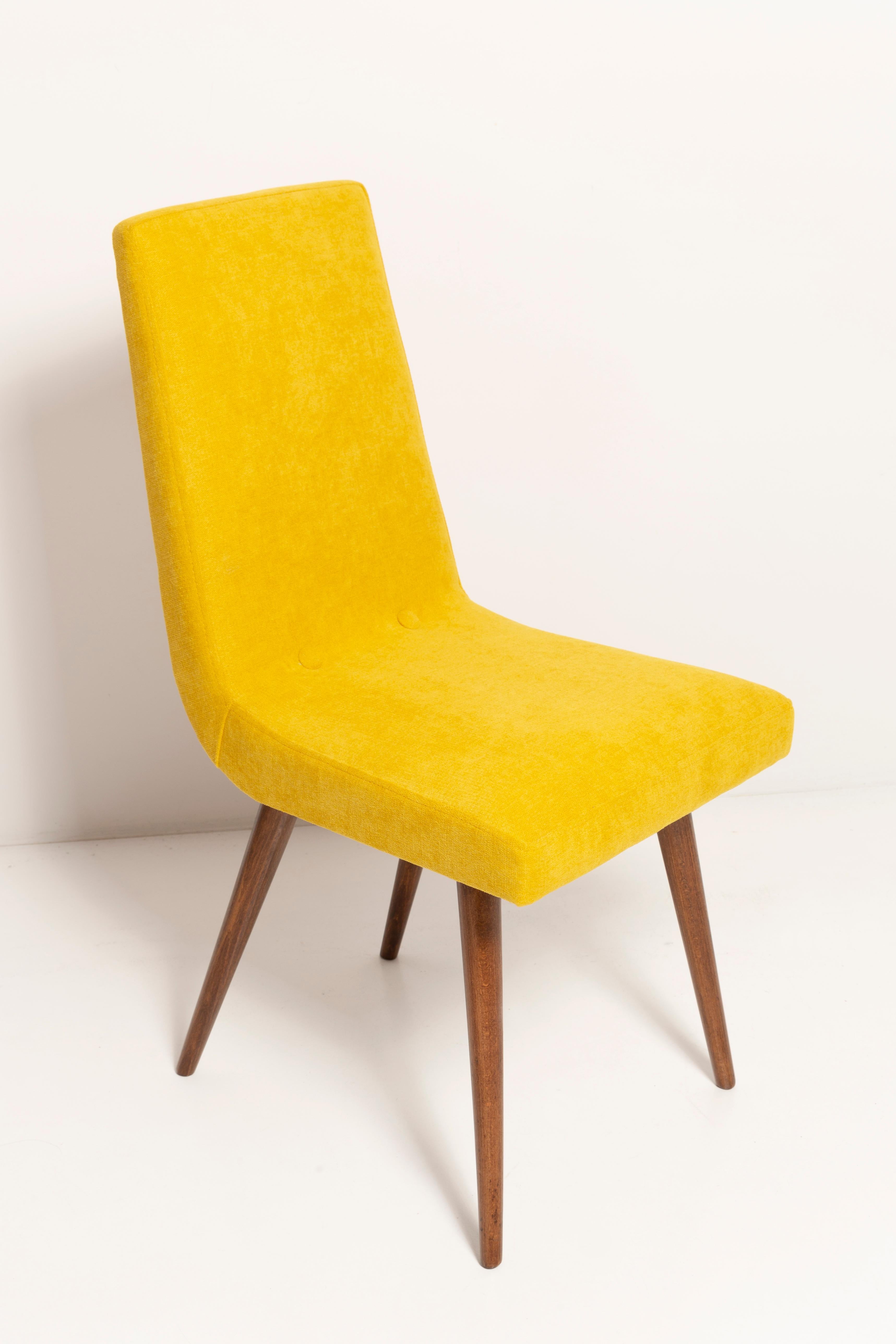 Chair designed by Prof. Rajmund Halas. Have been made of beechwood. The chair is after complete upholstery renovation, the woodwork has been cleaned and refreshed. We used matte varnish. Seat and back was dressed in a mustard yellow, durable and