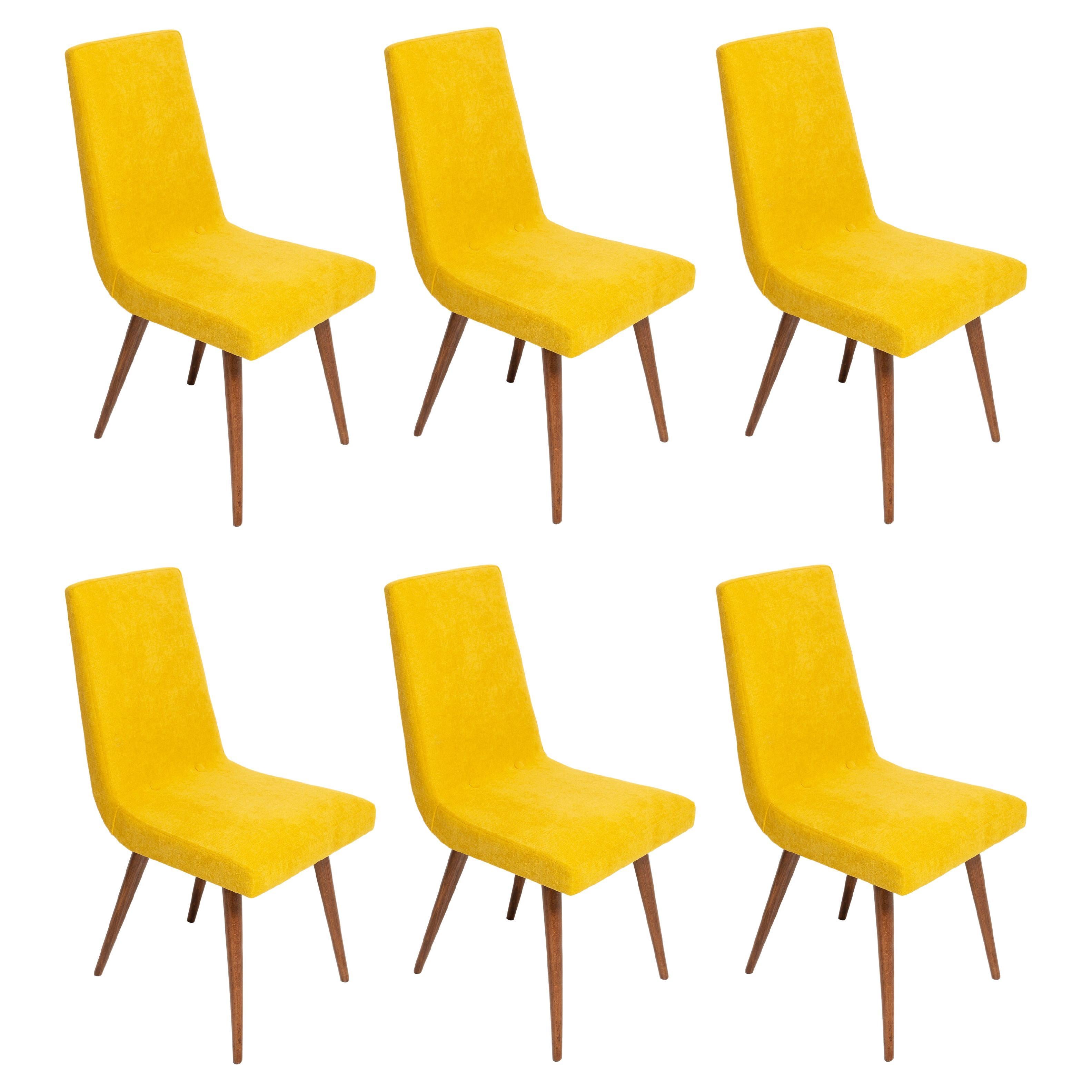 Six 20th Century Mustard Yellow Wool Chair, Rajmund Halas Europe, 1960s For Sale