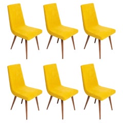 Six 20th Century Mustard Yellow Wool Chair, Rajmund Halas Europe, 1960s