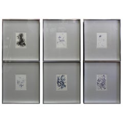 Six Abstract Pen Drawings