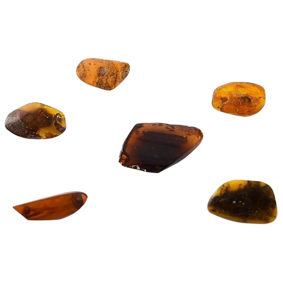 Six Amber Brooches in Different Sizes, Milk Amber and Darker Amber For Sale