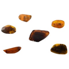 Vintage Six Amber Brooches in Different Sizes, Milk Amber and Darker Amber