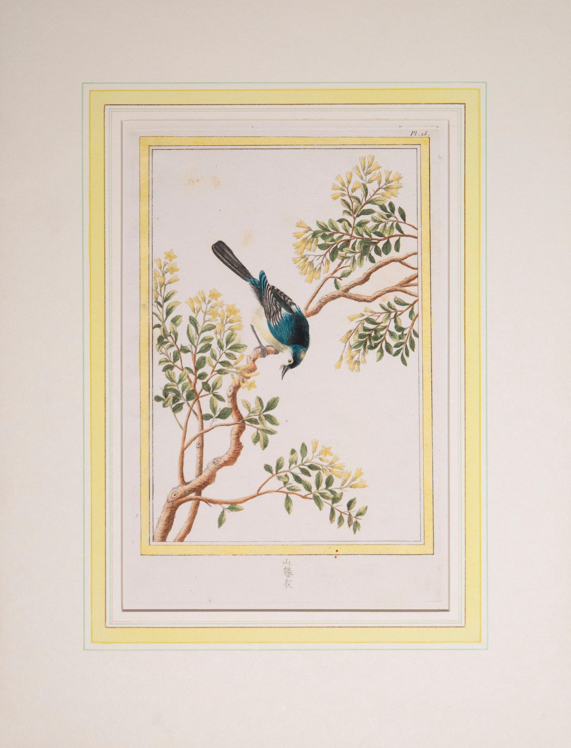 A set of six of exceptional quality 18th century hand-colored engravings
Buchoz, Pierre Joseph. Collection précieuse et enluminée des fleurs les plus belles et les plus curieuses, qui se cultivent tant dans les jardins de la Chine, que dans ceux de