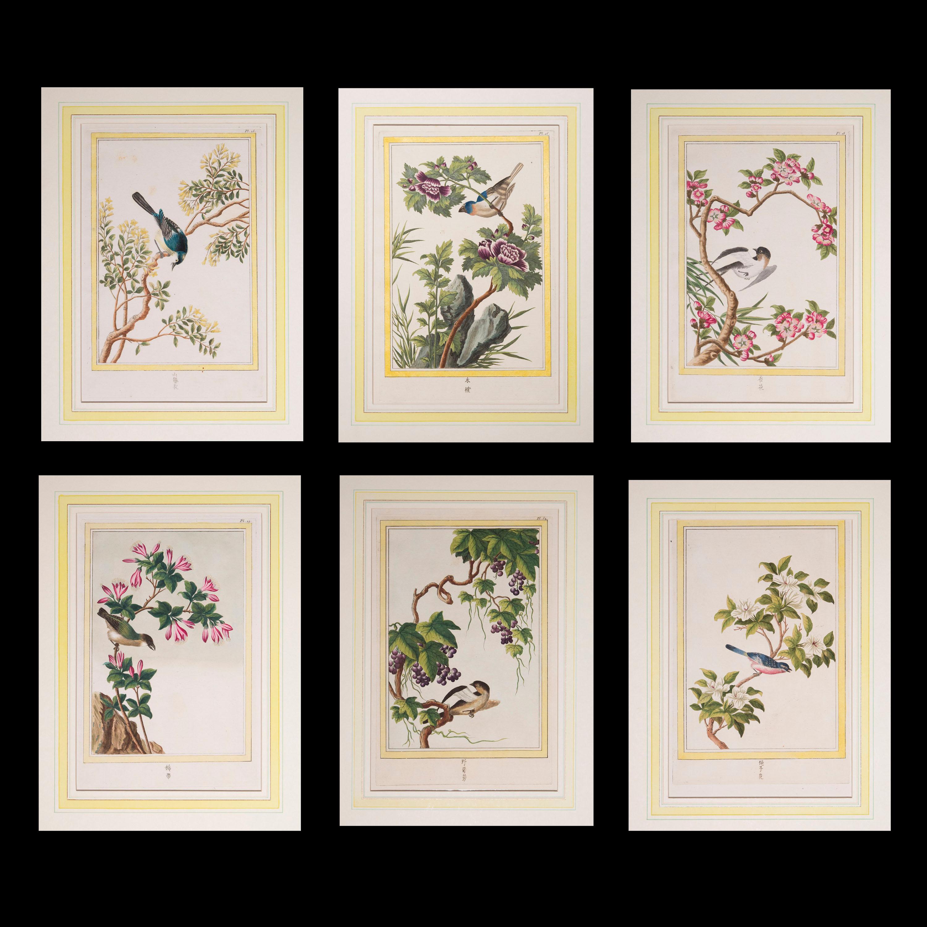 Papier Six gravures botaniques anciennes du 18ème siècle, de P.J. Buchoz, 1776 en vente