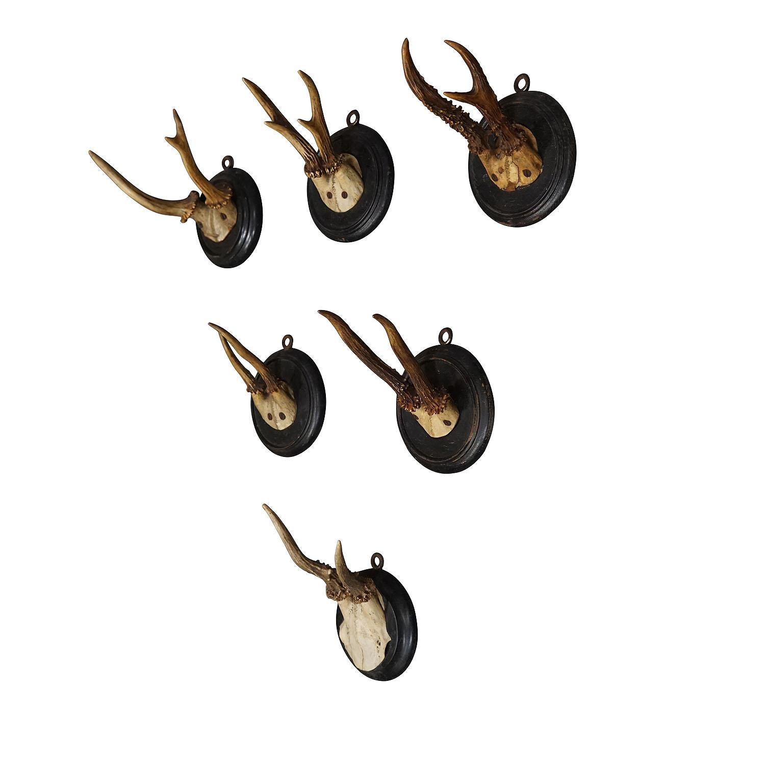 Six antique deer trophies on wooden plaques Germany ca. 1900s.

A set of six antique Black Forest deer trophies on turned wooden plaques with black finish. Some with brand stamp on the back of the plaque featuring the shortcut of the hunters name.