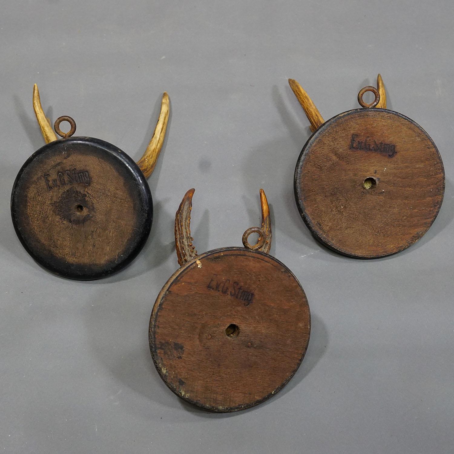 Six trophées de cerfs anciens sur plaques en bois, Allemagne, vers 1900 en vente 1