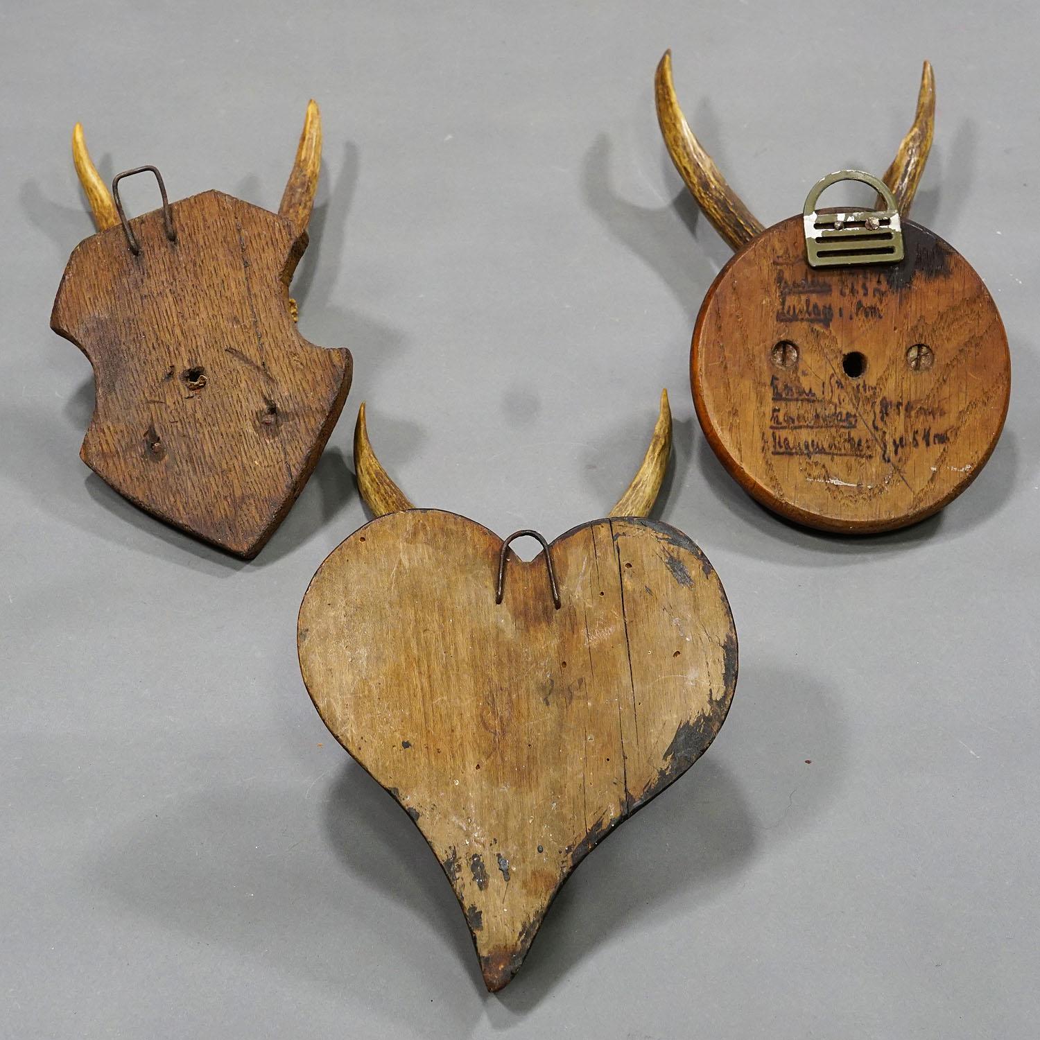 20ième siècle Six trophées de cerfs anciens sur plaques en bois, Allemagne, vers 1910 en vente