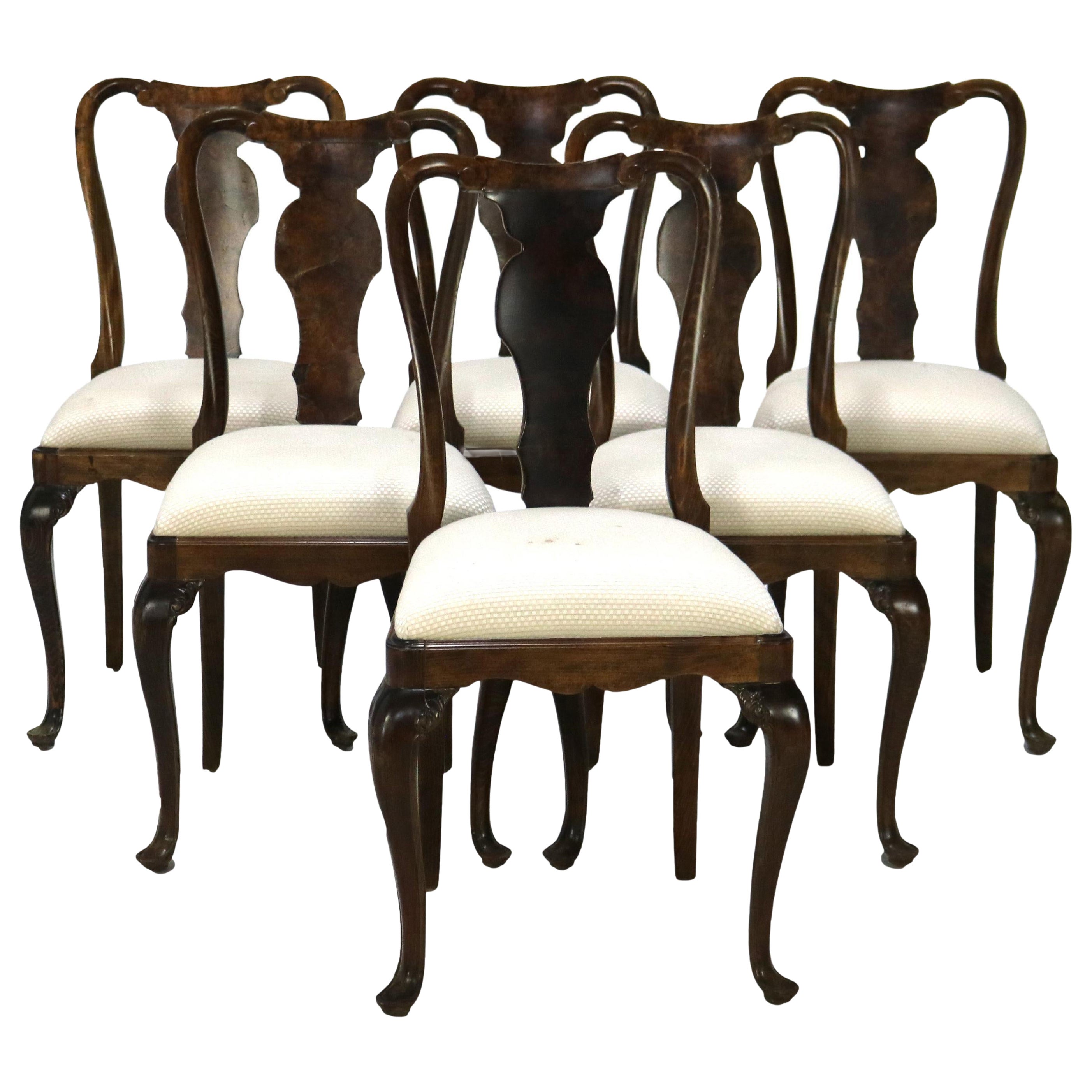 Six chaises de salle à manger anglaises anciennes de style George III en loupe d'huître, vers 1920