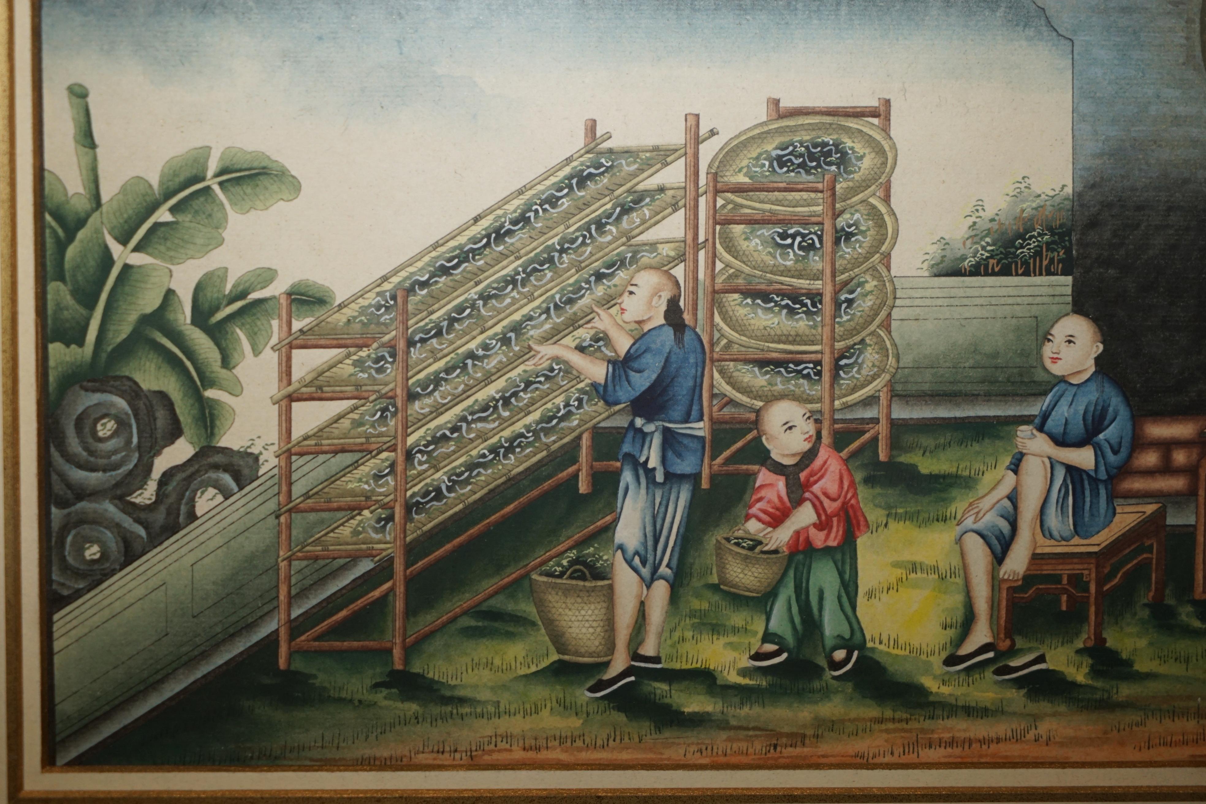 SEI ANTICHE EXQUISITE PITTURE CINESI ALL'ACQUERELLO E CON LACCATURA in vendita 5