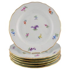 Six Antique Meissen Porcelain Plates with Hand-Painted Flowers and Gold Edge