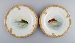 Six Antique Pirkenhammer Dinner Plates in Porcelain with Hand-Painted Fish