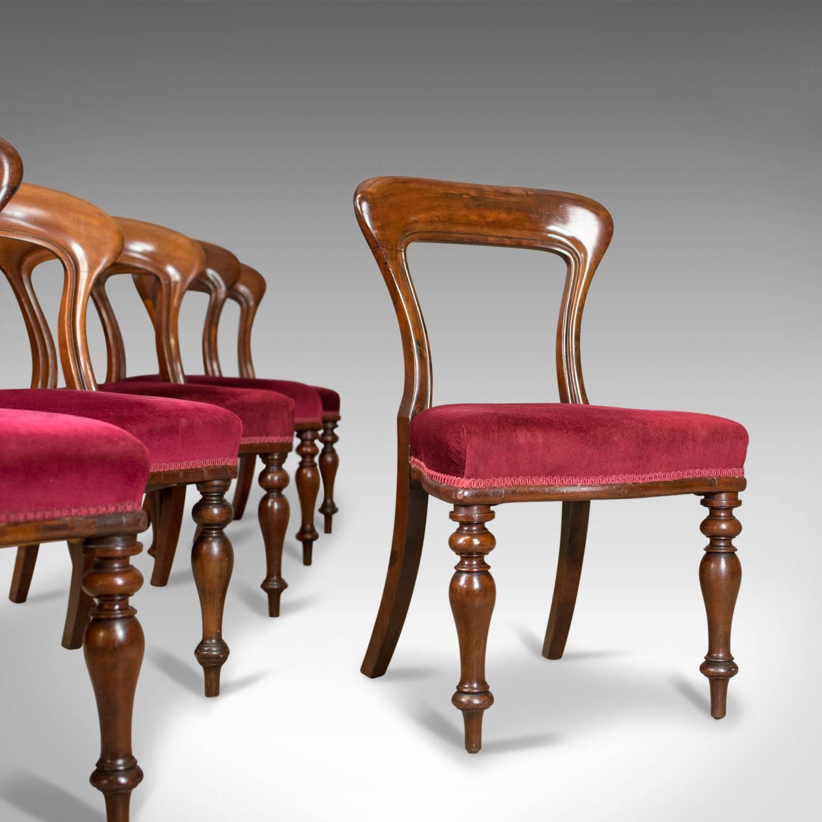 This is a set of six antique dining chairs, four plus two by design, English, early Victorian and dating to circa 1840.

Attractive, heavy and robust chairs crafted in select mahogany
Well figured with a lustrous wax polished