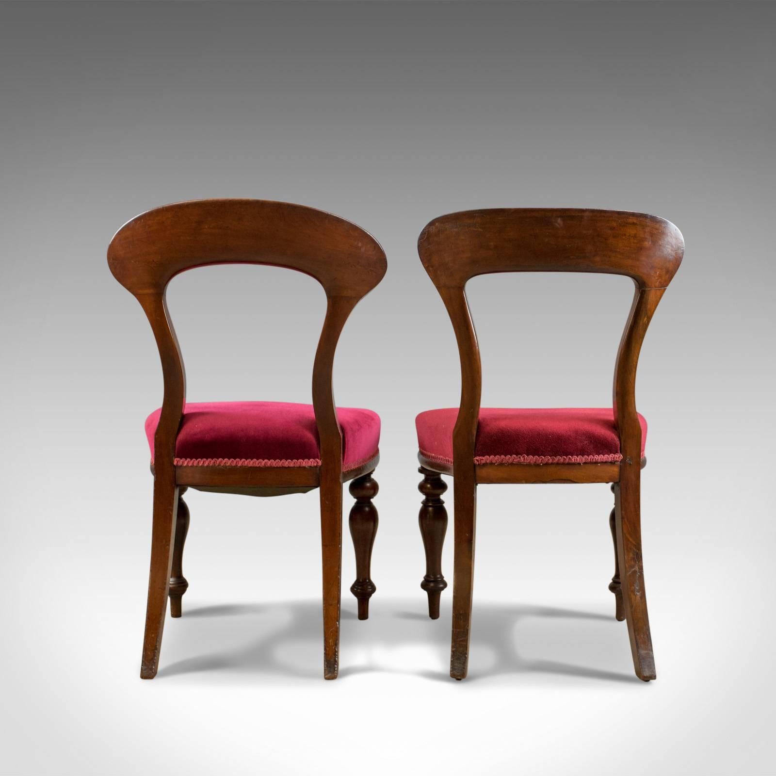 Early Victorian Six Antique Victorian Dining Chairs, English, circa 1840