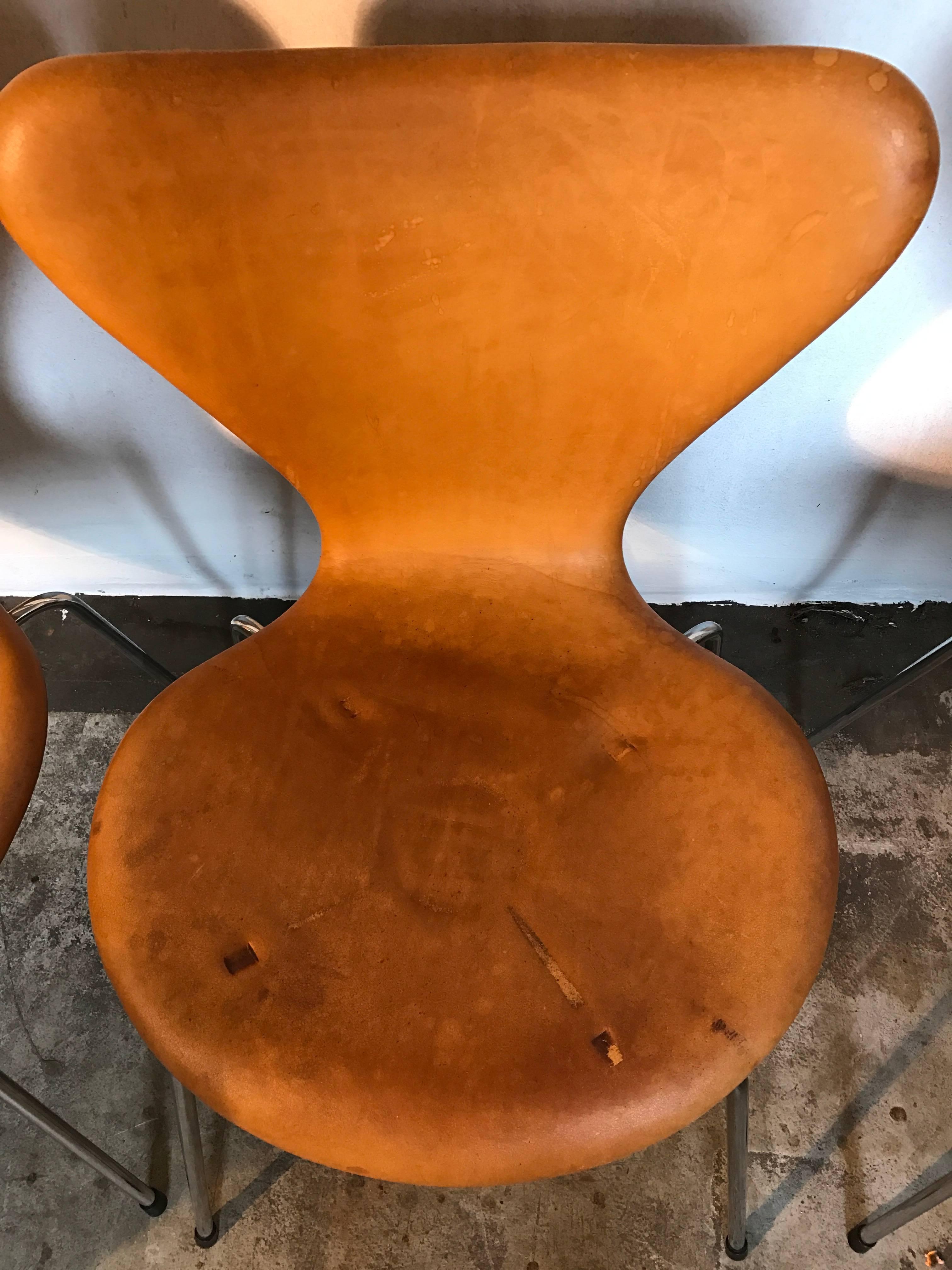 Mid-Century Modern Six Arne Jacobsen Butterfly Dining Chairs Leather For Sale