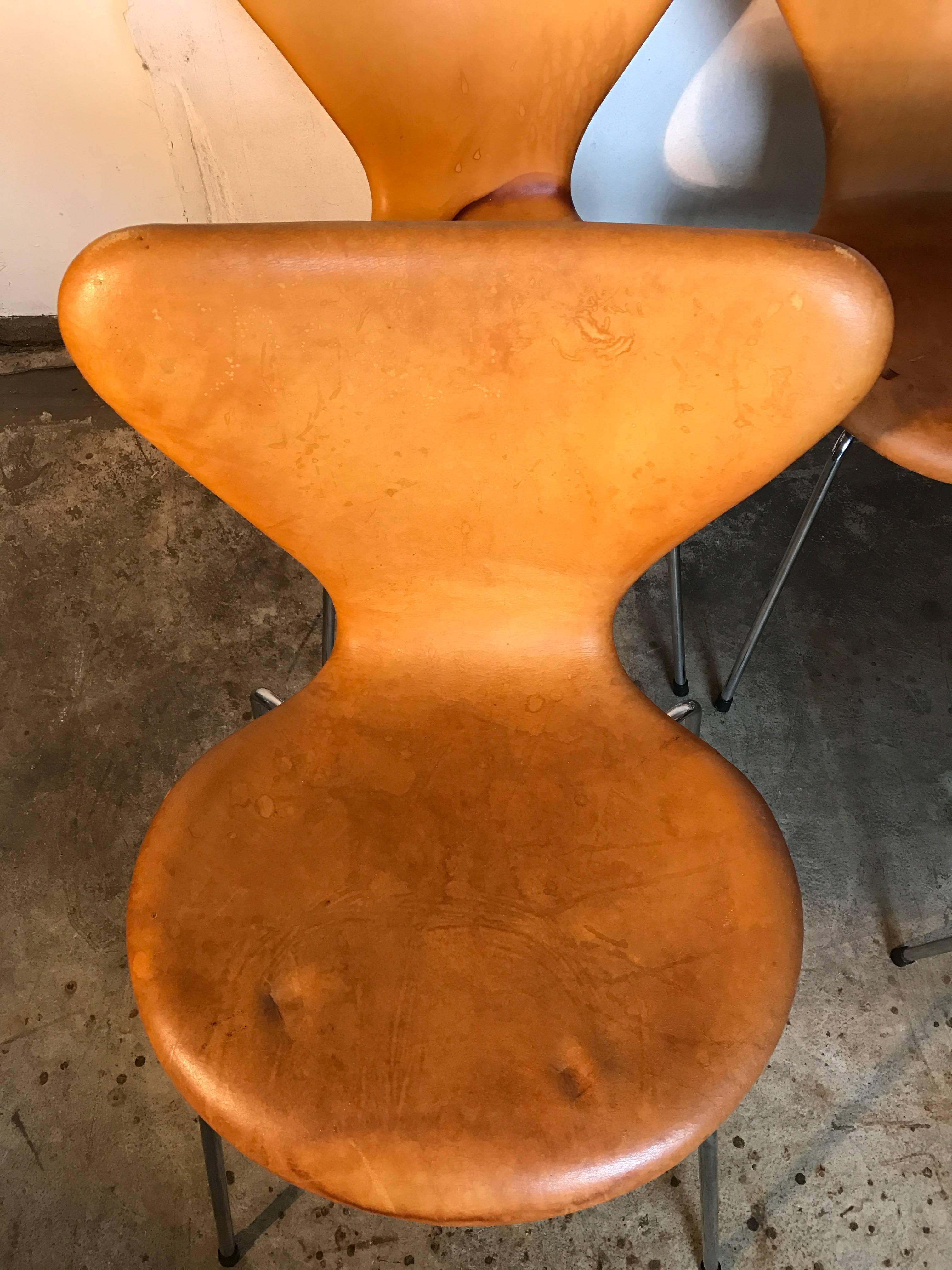 Danish Six Arne Jacobsen Butterfly Dining Chairs Leather For Sale