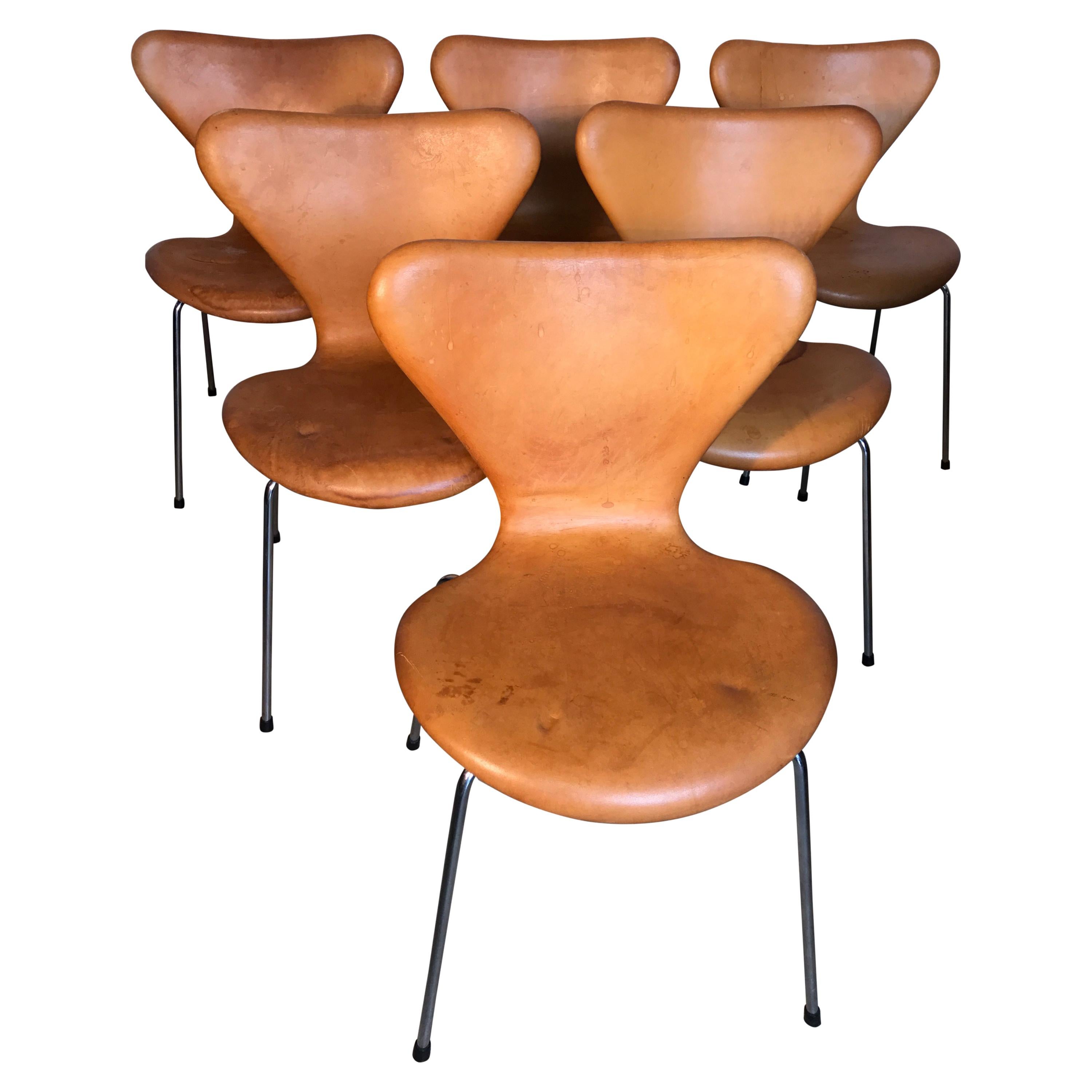 Six Arne Jacobsen Butterfly Dining Chairs Leather For Sale