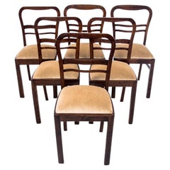 Six Art Deco Chairs, Poland, 1950s, Renovated