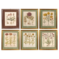 Giltwood Prints