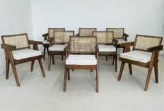 Six Authentic Pierre Jeanneret Office Arm Chairs, Mid-Century Modern